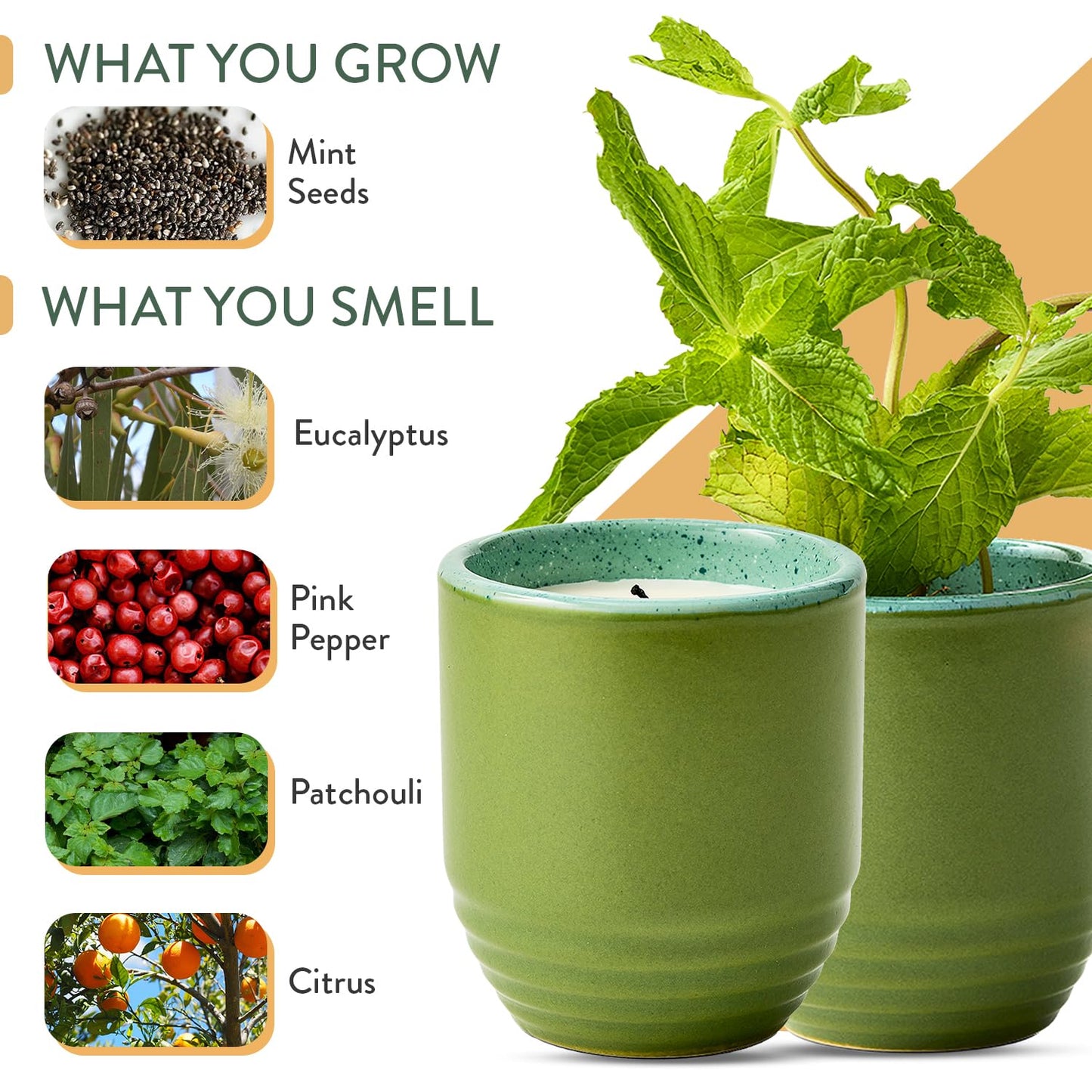 Modern Sprout - 2-in-1 Soy Candle & Planter - in The Weeds (Eucalyptus, Pink Pepper, Patchouli, Citrus) 6 Oz Scented Candle w/Mint Seeds - Ceramic Vessel Dual Purpose Jar - 38-40 Hour Burn