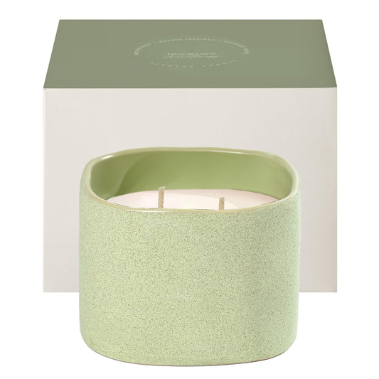 Scented Soy Candles, Large Candle 3 Wicks 19.5oz Japanese Cherry Blossom Ceramic Jar Lava Collection, Gorgeous Gifts for Birthday Thanksgiving Christmas (14.5oz-Basil & Pine)