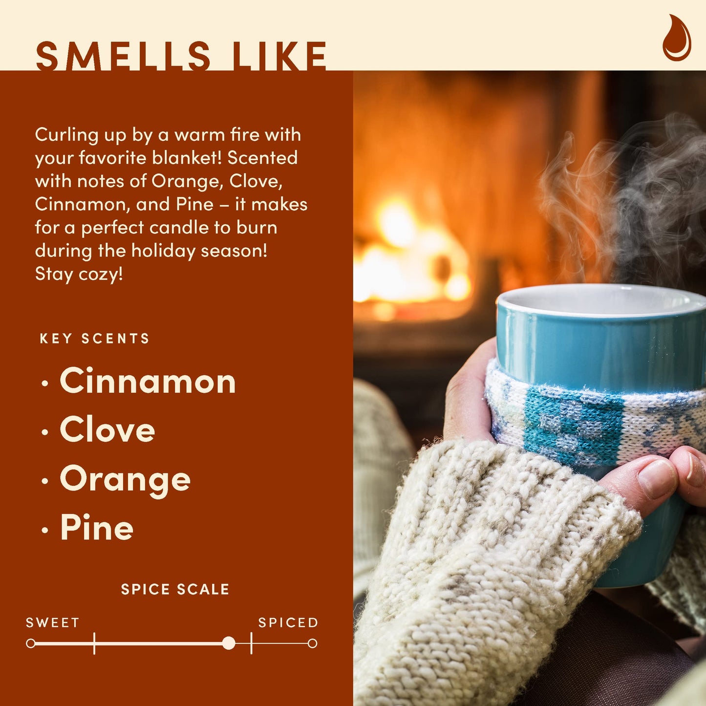 Wax & Wit Warm and Cozy Christmas Candles Scented – Orange, Cinnamon, Clove, Pine – Fall Candle, Perfect Holiday, Winter, Xmas, Autumn Gifts – 9oz, Soy Wax, 50 Hour Burn