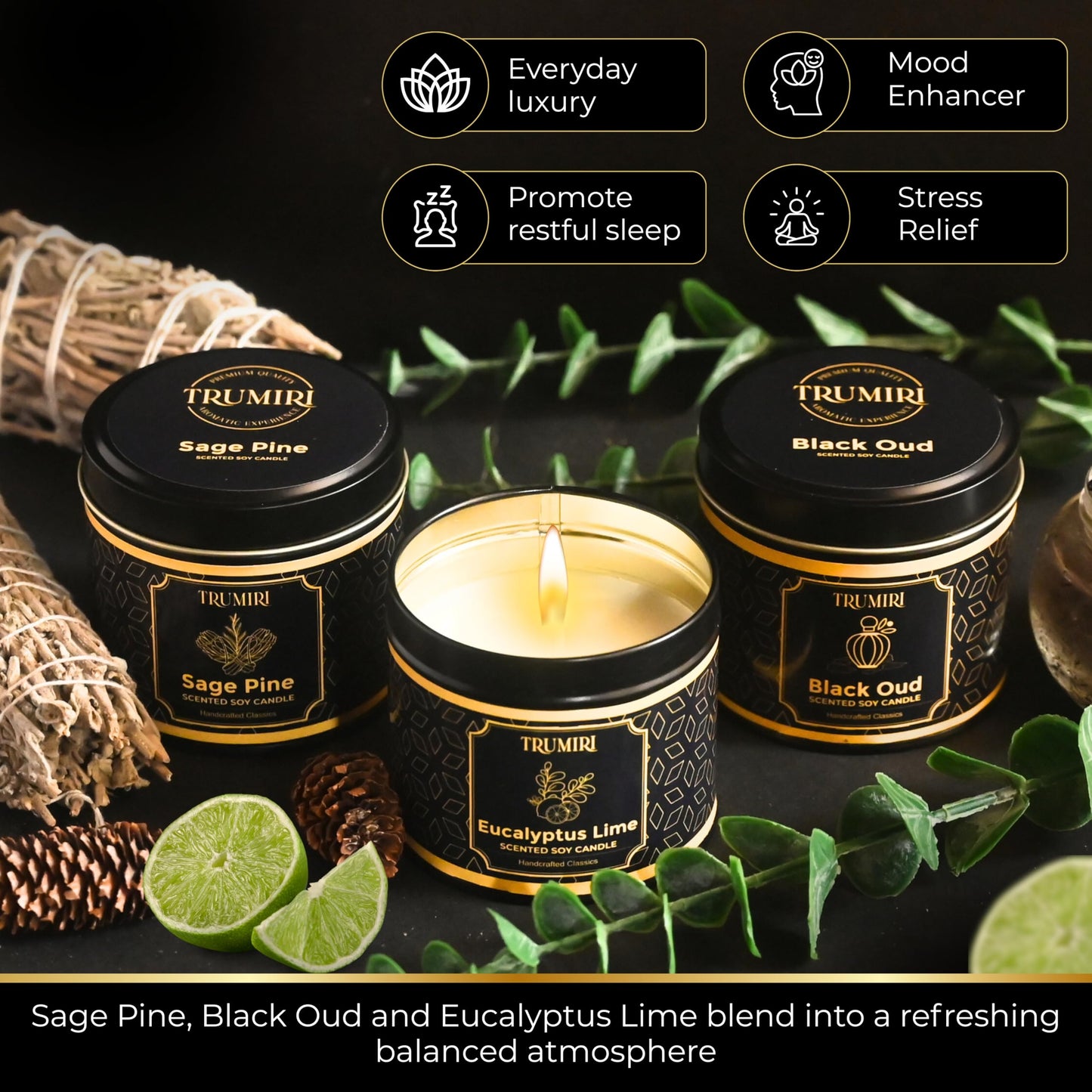 Candle Gift Set of 3 Black Oud|Sage Pine|Eucalyptus Lime Strong Scented Soy Candels Clean Non Toxic Velas Aromáticas Favors for Women Coworkers Friends Guests Also for Fall Diwali Christmas Holidays