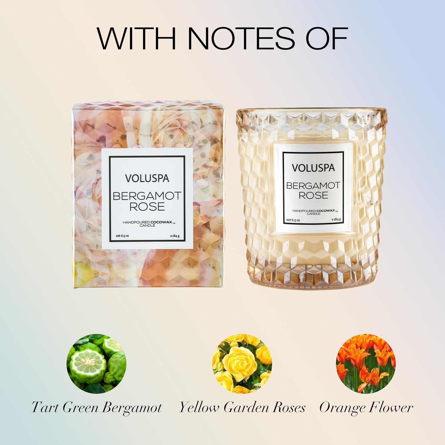 Voluspa Bergamot Rose, Classic Candle Jar, 6.5 oz, 40 Hour Burn Time, Coconut Wax for Clean Burning, Handcrafted in the USA