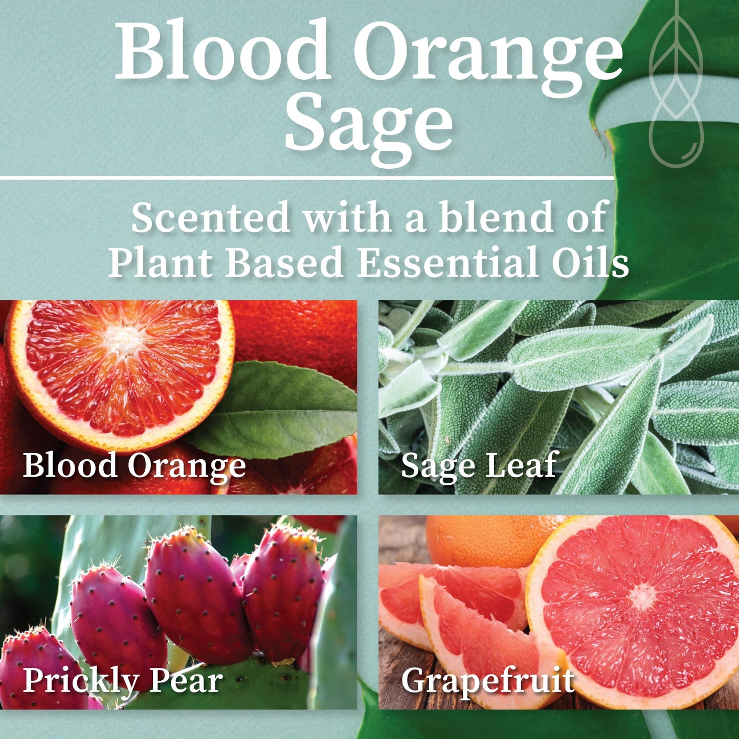 Hemlock Park Blood Orange Sage Apothecary Scented Candle | Crackling Wood Wick, Botanical Fragrance & Coconut Apricot Wax | Up to 80 Hour Burn Time | 16 oz | Made in USA