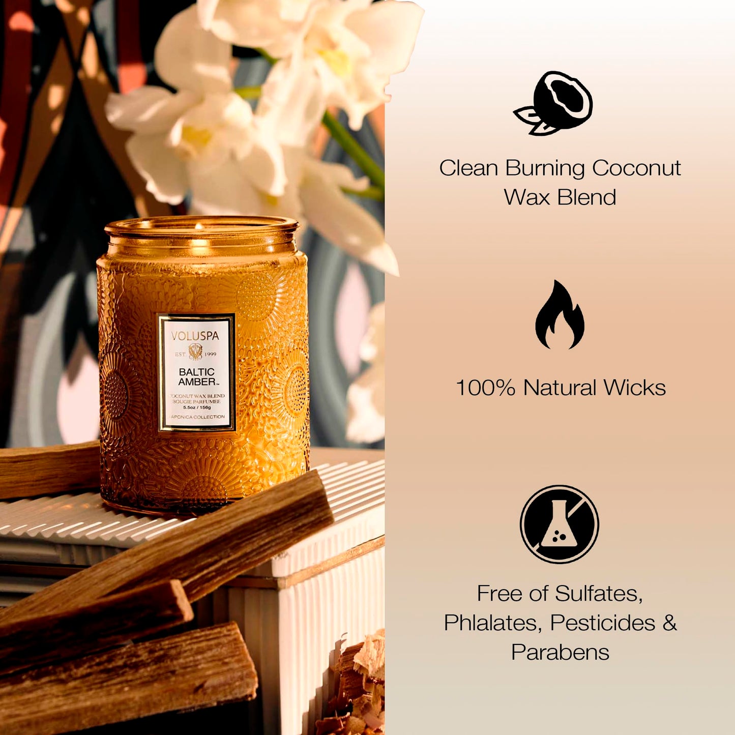 Voluspa Baltic Amber, Small Candle Jar, 5.5 oz, 50 Hour Burn Time, Coconut Wax for Clean Burning, Handcrafted in the USA