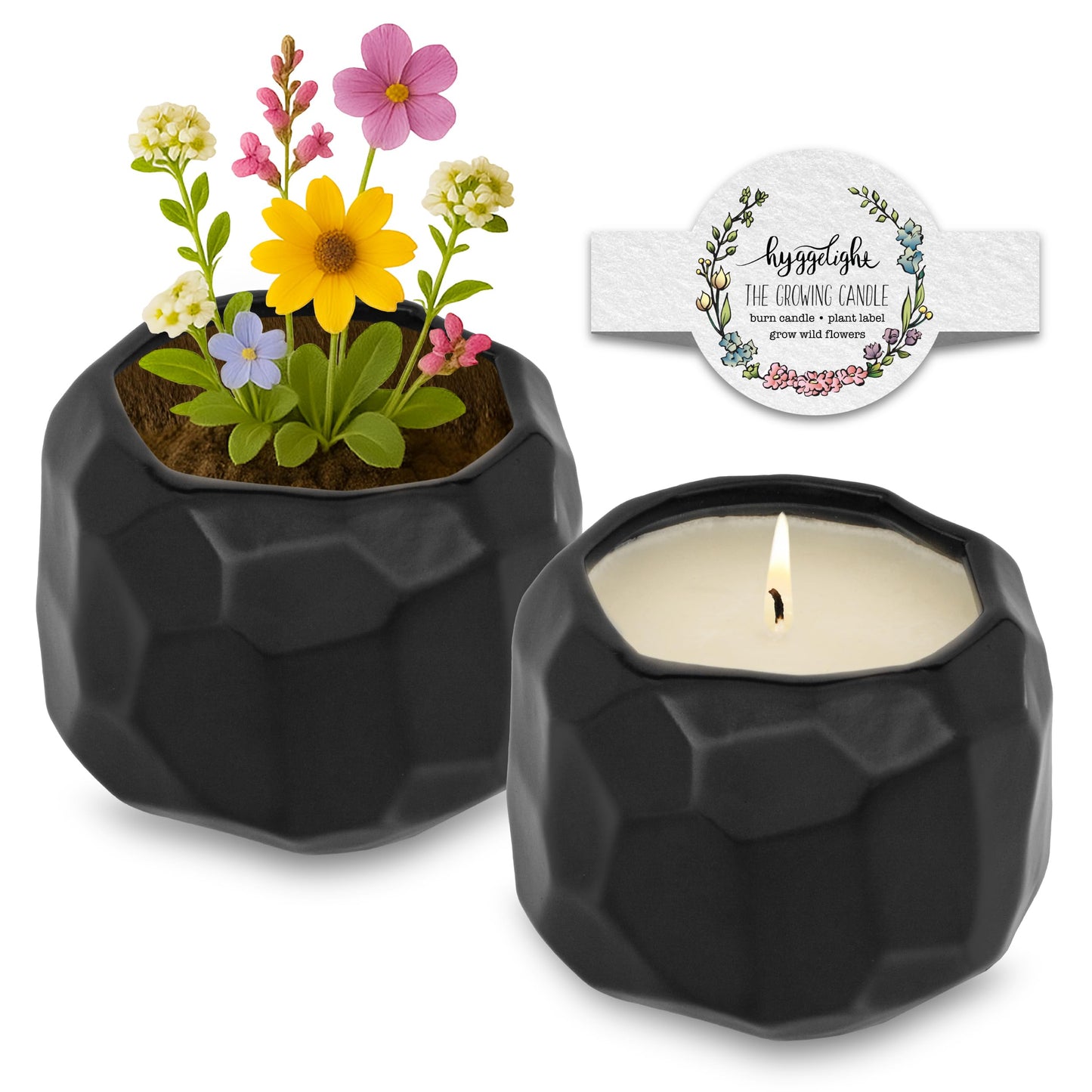 The Growing Candle, Unscented Fragrance Free Candles, 13oz Ceramic Pot, 100% Soy, Emma