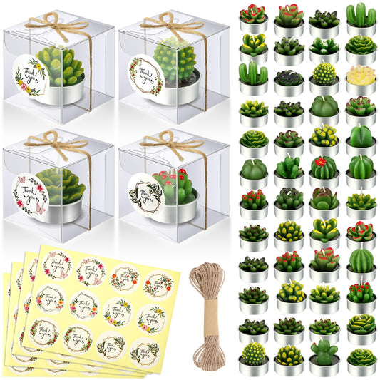 MTLEE 48 Sets Cactus Tealight Candle Gift Delicate Succulent Cactus Candle Mini Plant Party Favor for Valentine's Day Holiday Bridal Shower Fiesta Birthday Anniversary Celebration Wedding
