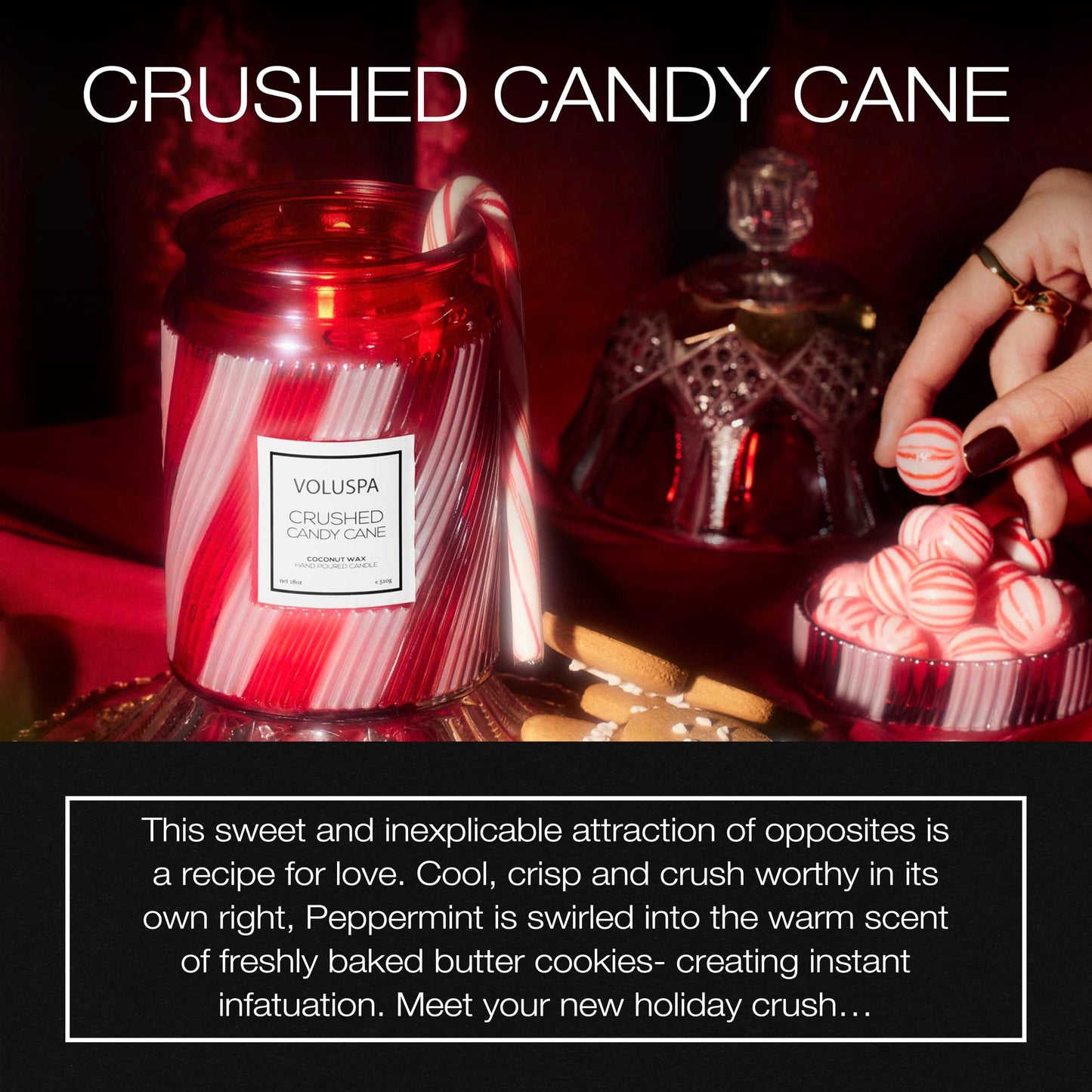 Voluspa Crushed Candy Cane, Large Candle Jar, 18 oz, 100 Hour Burn Time, Coconut Wax for Clean Burning, Handcrafted in the USA