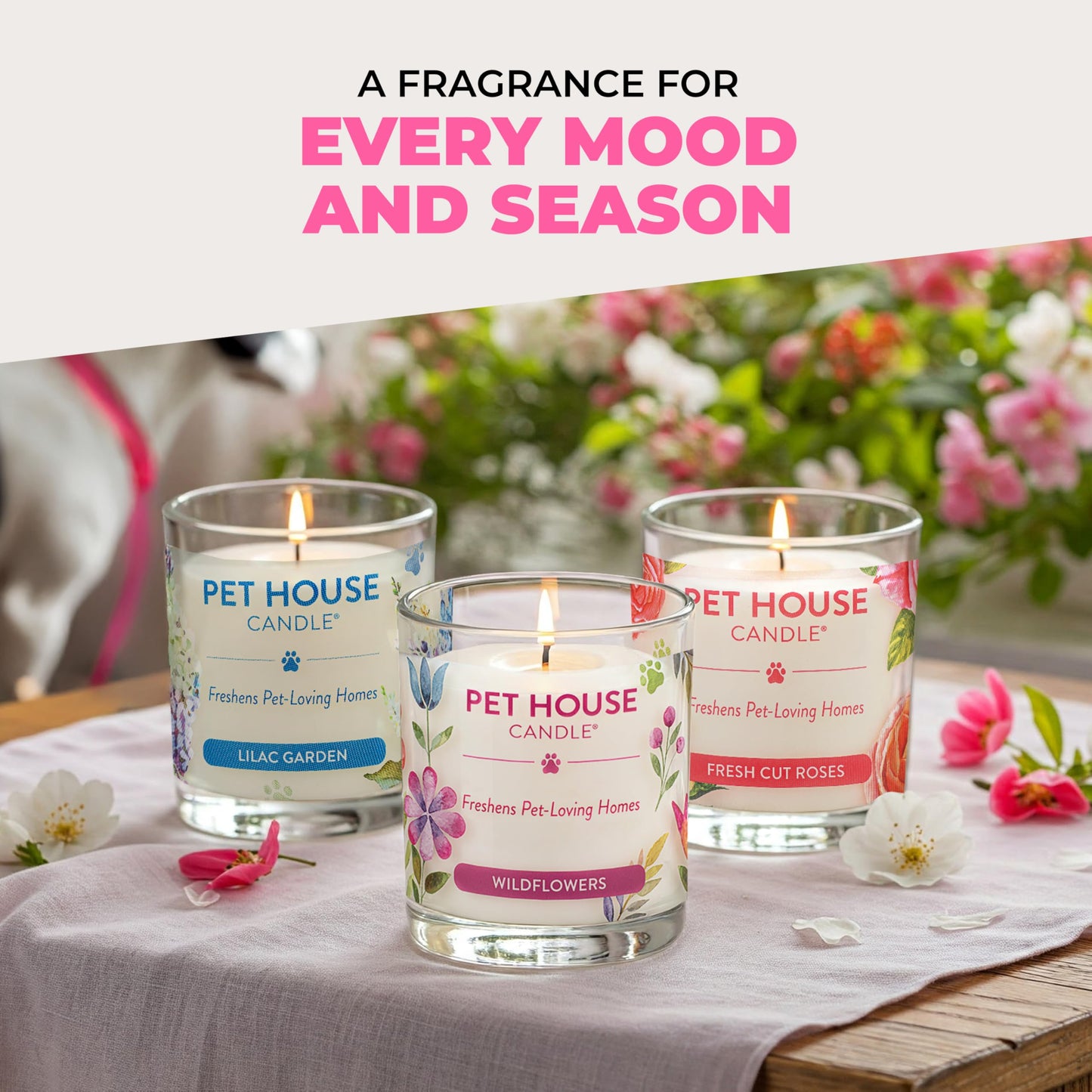 Pet House Candles, Clean Burning, Long Lasting Pet Odor Candles, Plant-Based, 60 Hour Burn Time - Tropical Fruit, 9 oz
