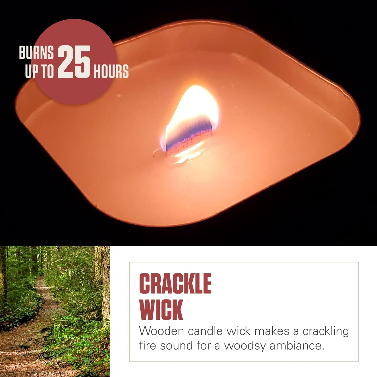 Coleman Scented Outdoor Citronella Candle with Wooden Crackle Wick, Pine Scent, 6 oz (Pack of 6)