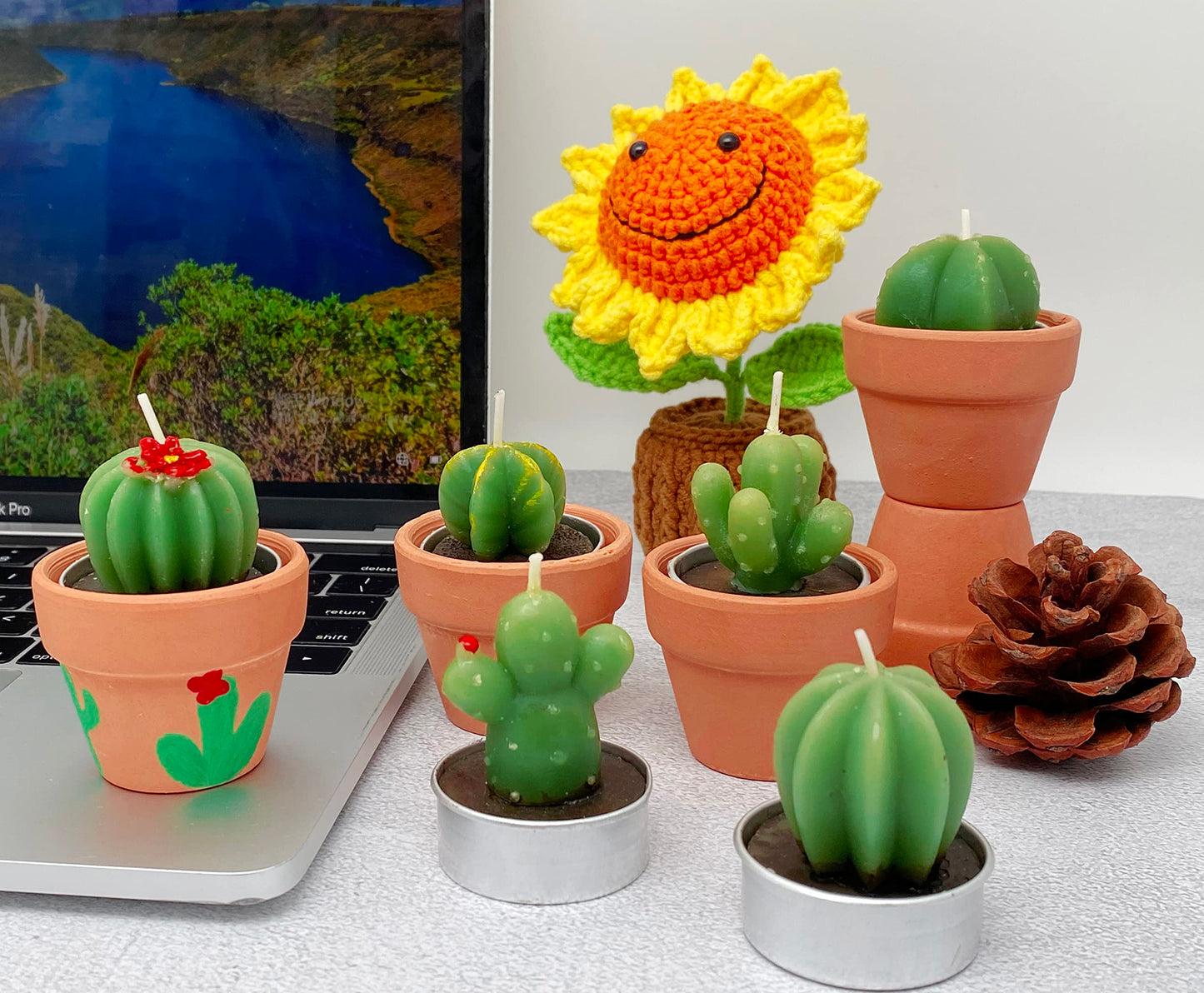 18pcs Cactus Tealight Candles Tea Party Decorations Succulent Baby Shower Fiesta Party Favors Home Decor Plant Gifts T Light Candles in Bulk