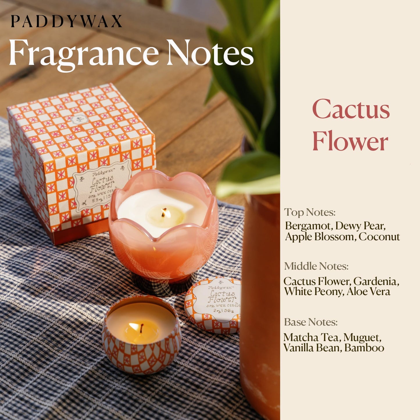Paddywax Tulip Candle Collection Scented Soy Wax in Milky Glass Vessel, Home Décor Candle for Living Room, Bedroom & Office, Reusable Holder, 5.5 oz, Cactus Flower