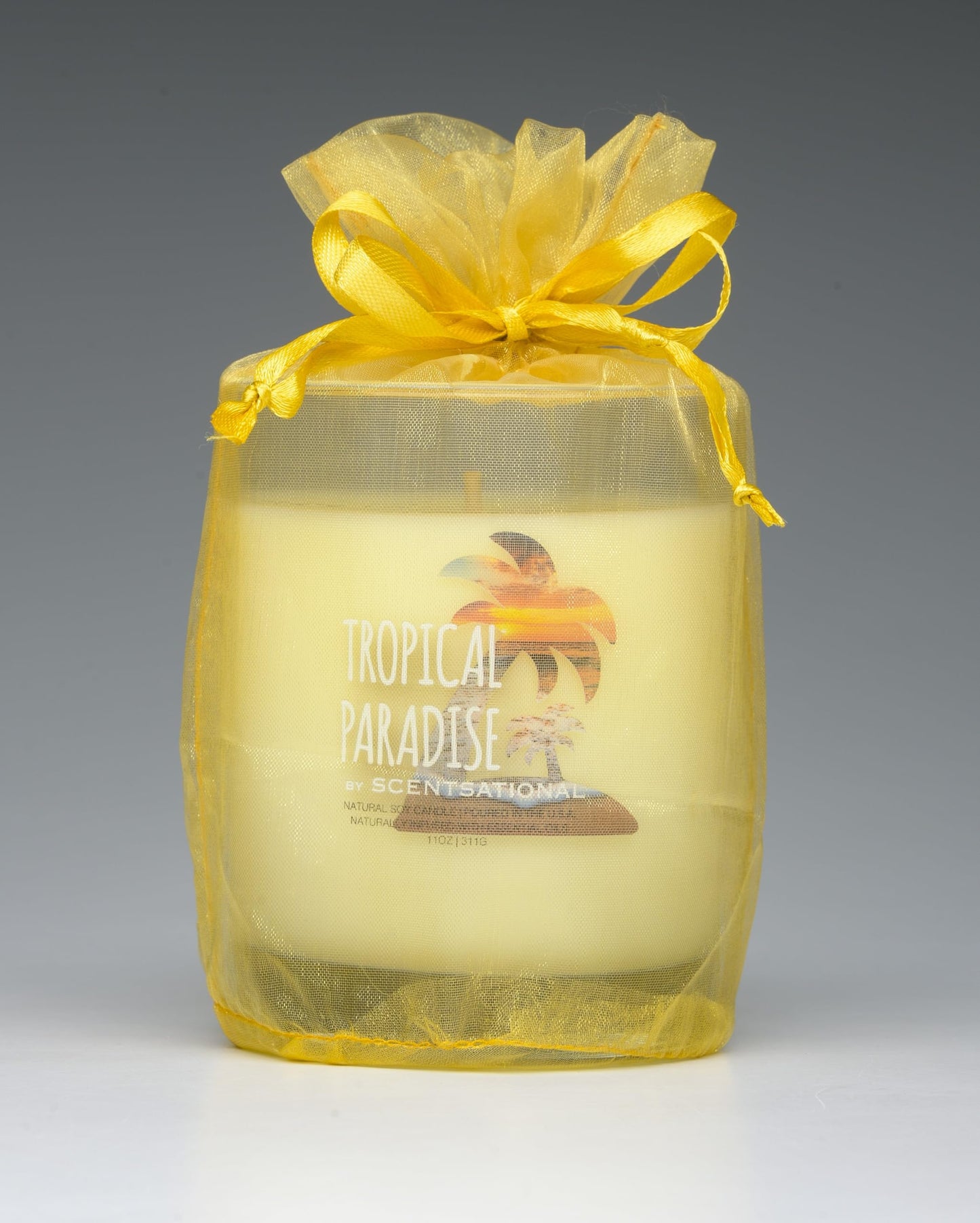 Scentsational Tropical Paradise Natural Candle, 11 oz Glass Jar, 50-60 Hour Burn Time, Gift Wrapped