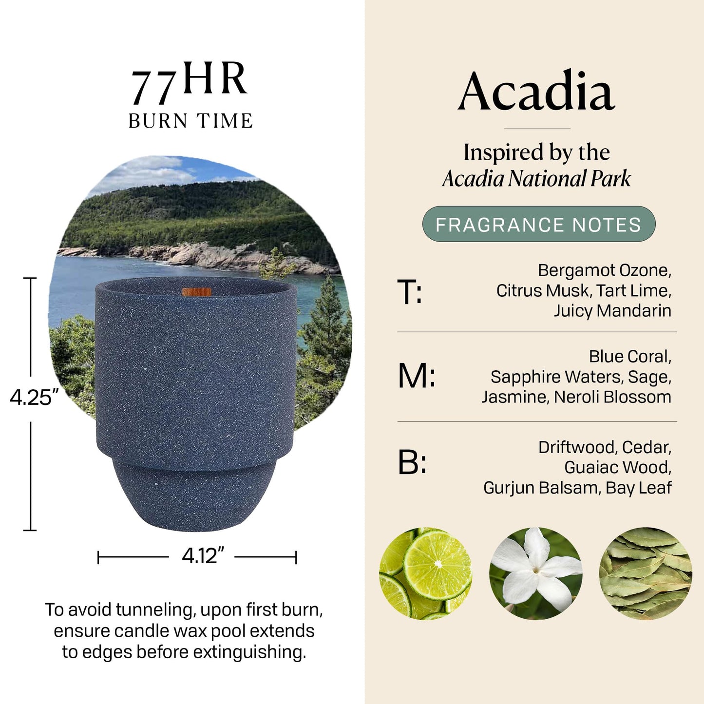 Paddywax Parks, Acadia Scented Candle in Reusable Ceramic Jar with Crackling Wood Wick, Soy Candle with Approx. 77 Hour Burn Time, Decorative Gift Candles for Home, Seagrass & Driftwood Scent, 11 oz