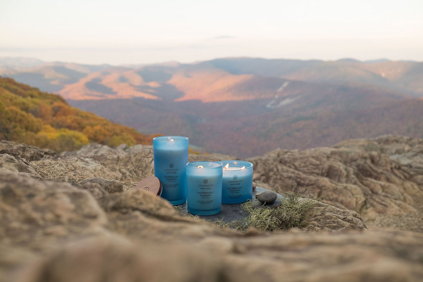 Chesapeake Bay Candle Scented Candle Confidence + Freedom (Oak Moss Amber) Medium Home Décor
