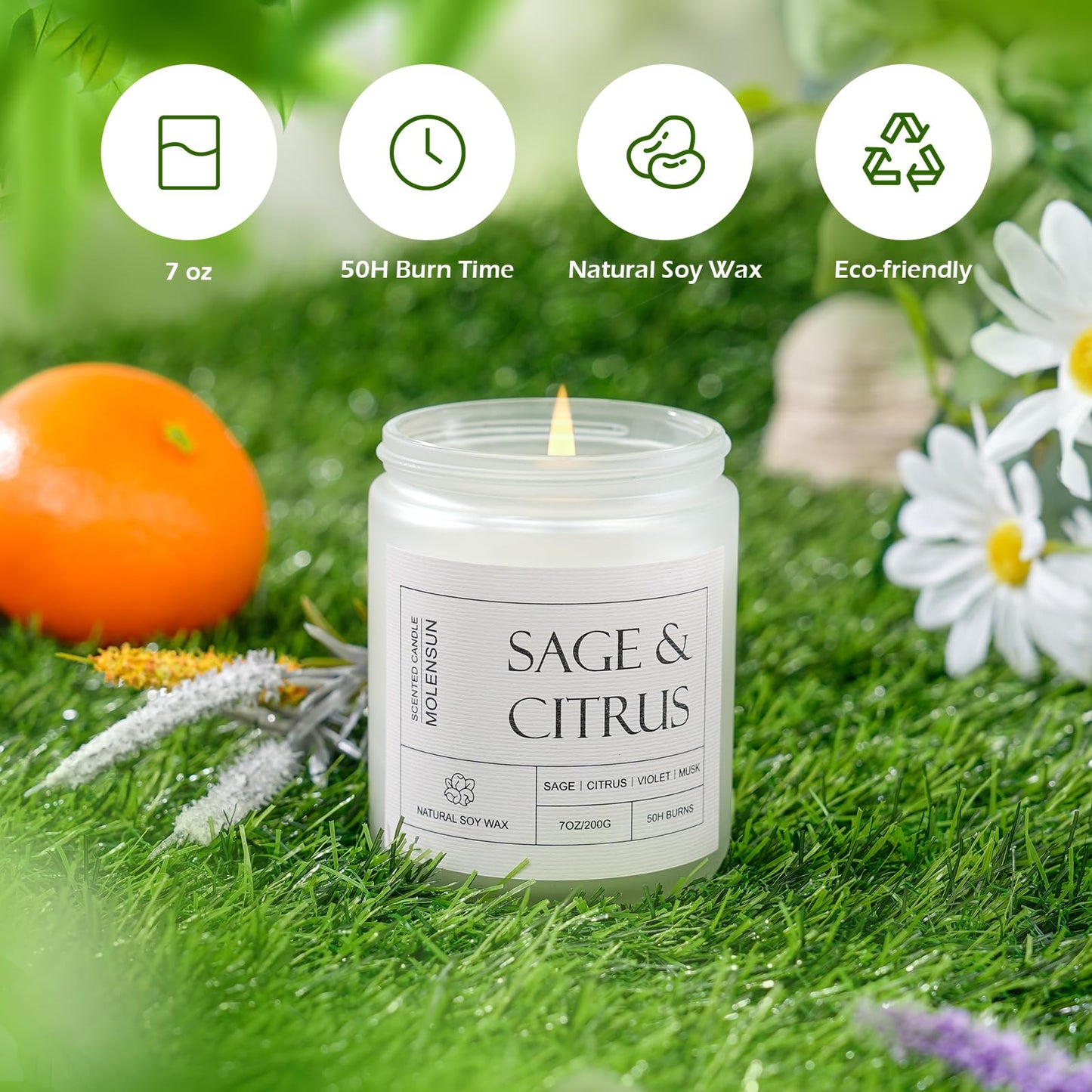Molensun Sage & Citrus Scented Candles, Aromatherapy Jar Candle, 7 oz Long Lasting Candles, Soy Wax Candle Gift for Women