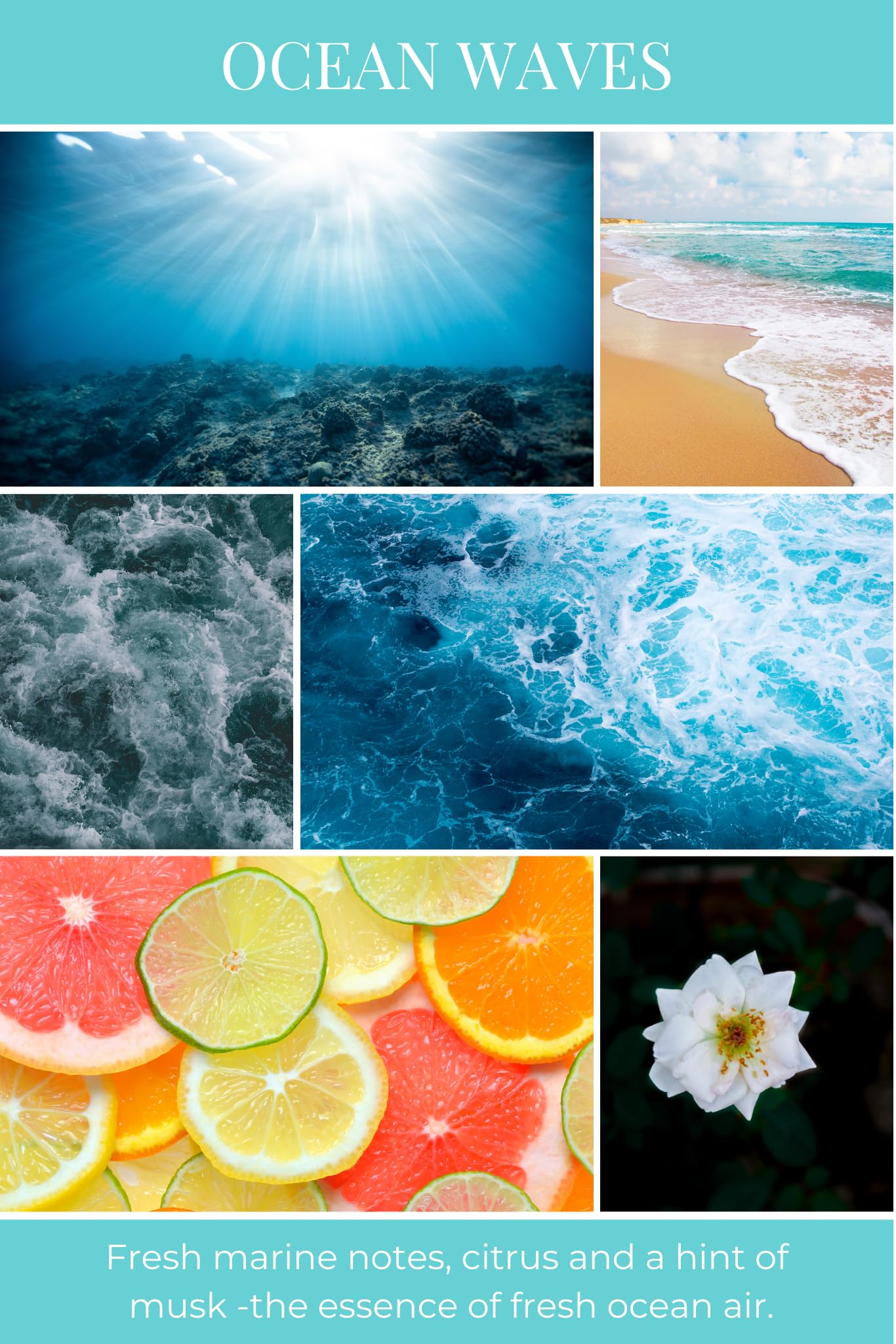 Eco Candle Co. Tea Light Candles, Ocean Waves, 10-Pack - Scents of Marine Air, Citrus, & Musk - Recyclable Plastic Cups, 100% Soy Wax, No Lead, Hand Poured, Midwest Grown Soybeans, .6 oz. Each