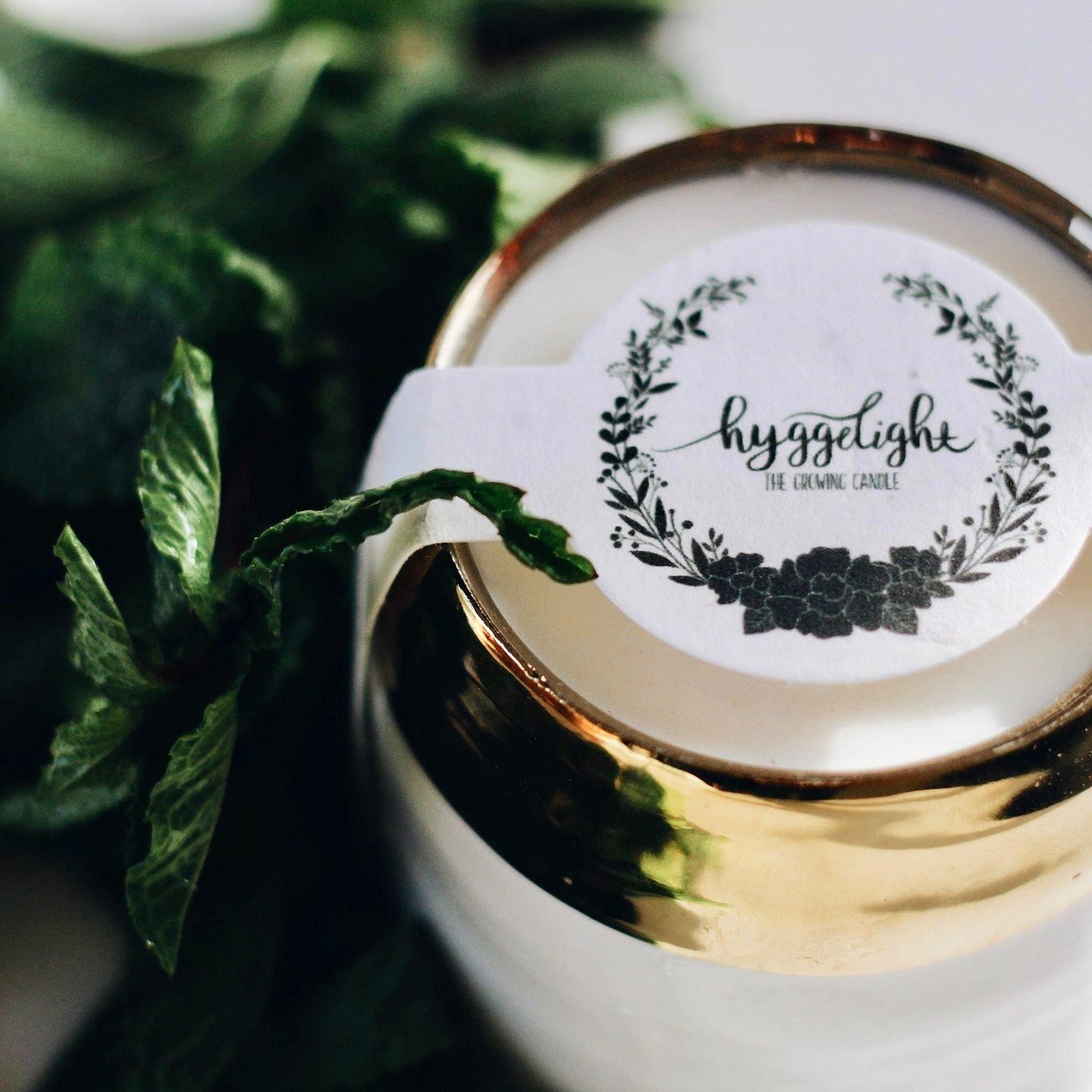Hyggelight - The Growing Candle, Rosemary & Sage Scent, 10oz Ceramic Pot, Single Wick Aromatherapy Candles, 100% Soy for Women and Men, Clara