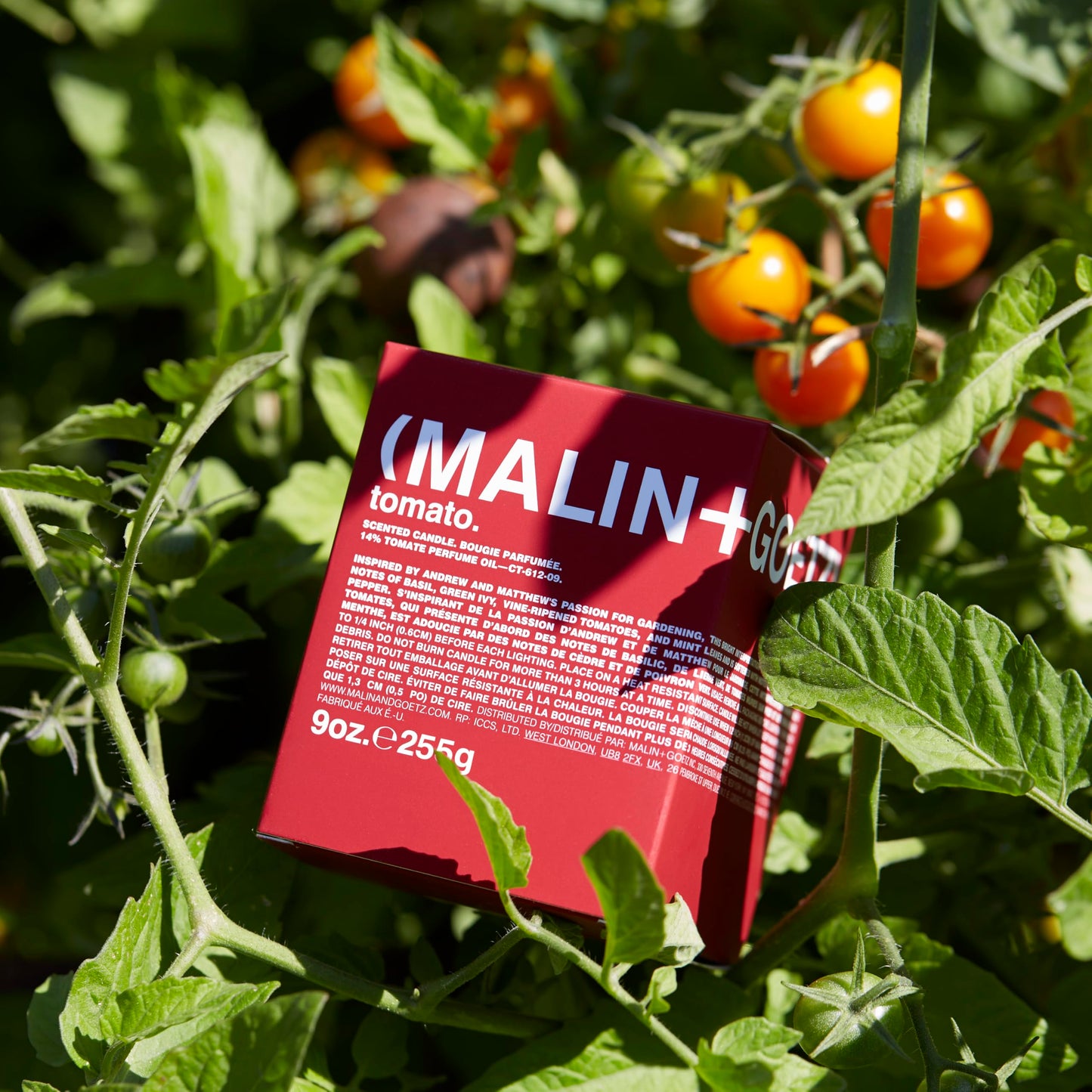MALIN+GOETZ Tomato Candle – Home Grown Tomato Aroma Fragrance Scented Candle, Natural Wax Blend, Fresh & Verdant Scent, Vegan & Cruelty Free, Single Wick Candle, Lasts 60 Hours
