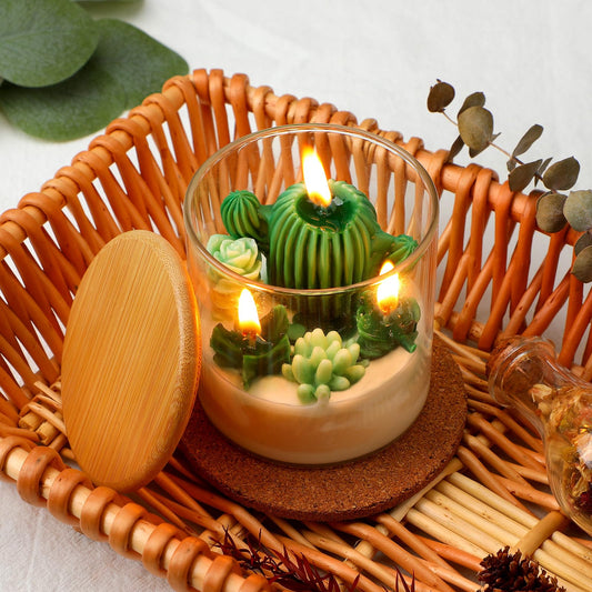 Tondiamo Succulent Cactus Candles Gift,3.15 Inch Scented Decorative Terrarium Plant Candles Votive for House Warming Wedding Baby Shower Spa Home Decoration Teacher Appreciation Mothers Gifts