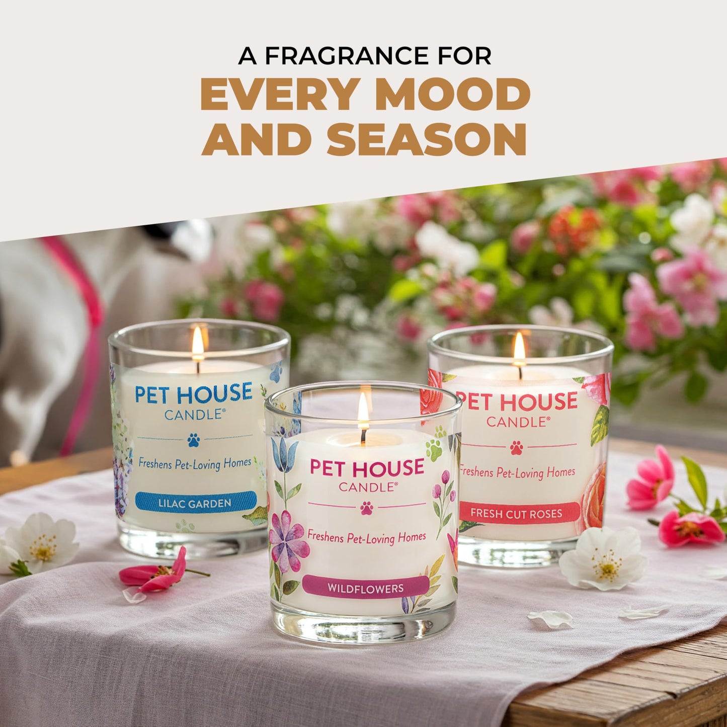 Pet House Candles, Clean Long-Burning, Scented Pet Friendly Candles, Plant-Based, 60 Hour Burn Time - Ocean Driftwood, 9 oz