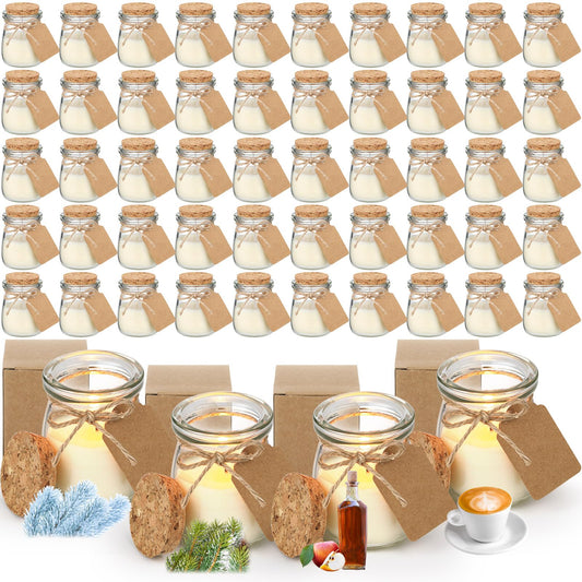 MTLEE 50 Pcs Winter Jar Candles Holiday Candle Gifts Natural Wax Jar with DIY Tag Cards Gift for Winter Party Favor Home Supply Decor, Scents of Winter/Forest/Cider/Warm