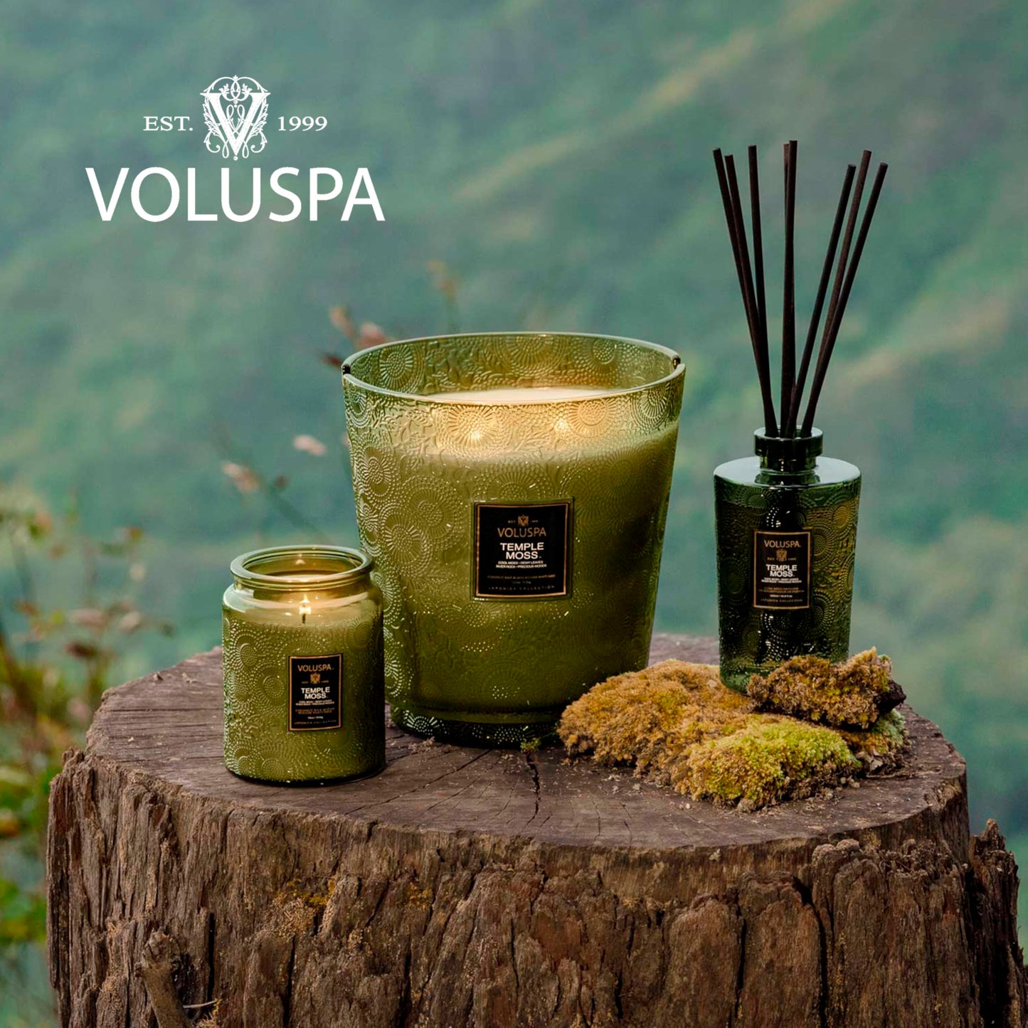 Voluspa Temple Moss, 3 Wick Tin Candle, 12oz, 40 Hour Burn Time, Coconut Wax Candle for The Home, Handcrafted in the USA