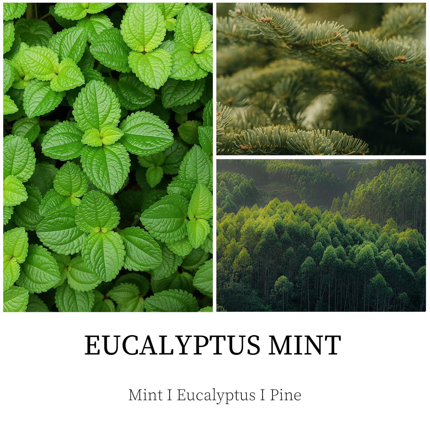 Eucalyptus Mint Candle, 7 oz Scented Candle for Men, Soy Candles for Home Scented, Masculine Jar Candle for Him, 50 Hours Burning Time Mens Candle Gift for Boyfriend, Father, Birthday Present Giving