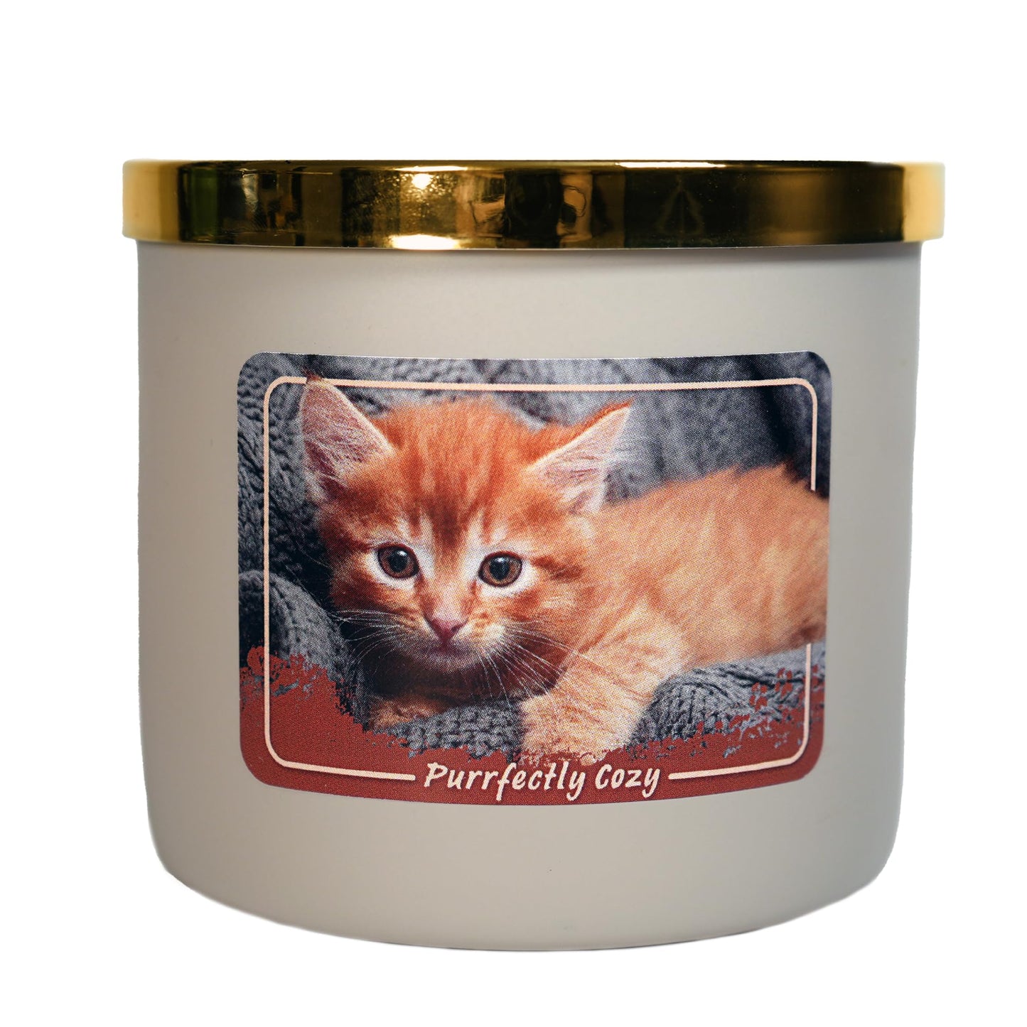 Colonial Candle Purrfectly Cozy Scented Jar Candle, 14 oz - Warm & Comforting Fragrance, Long-Lasting Burn, Made in The USA