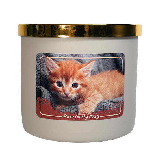 Colonial Candle Purrfectly Cozy Scented Jar Candle, 14 oz - Warm & Comforting Fragrance, Long-Lasting Burn, Made in The USA