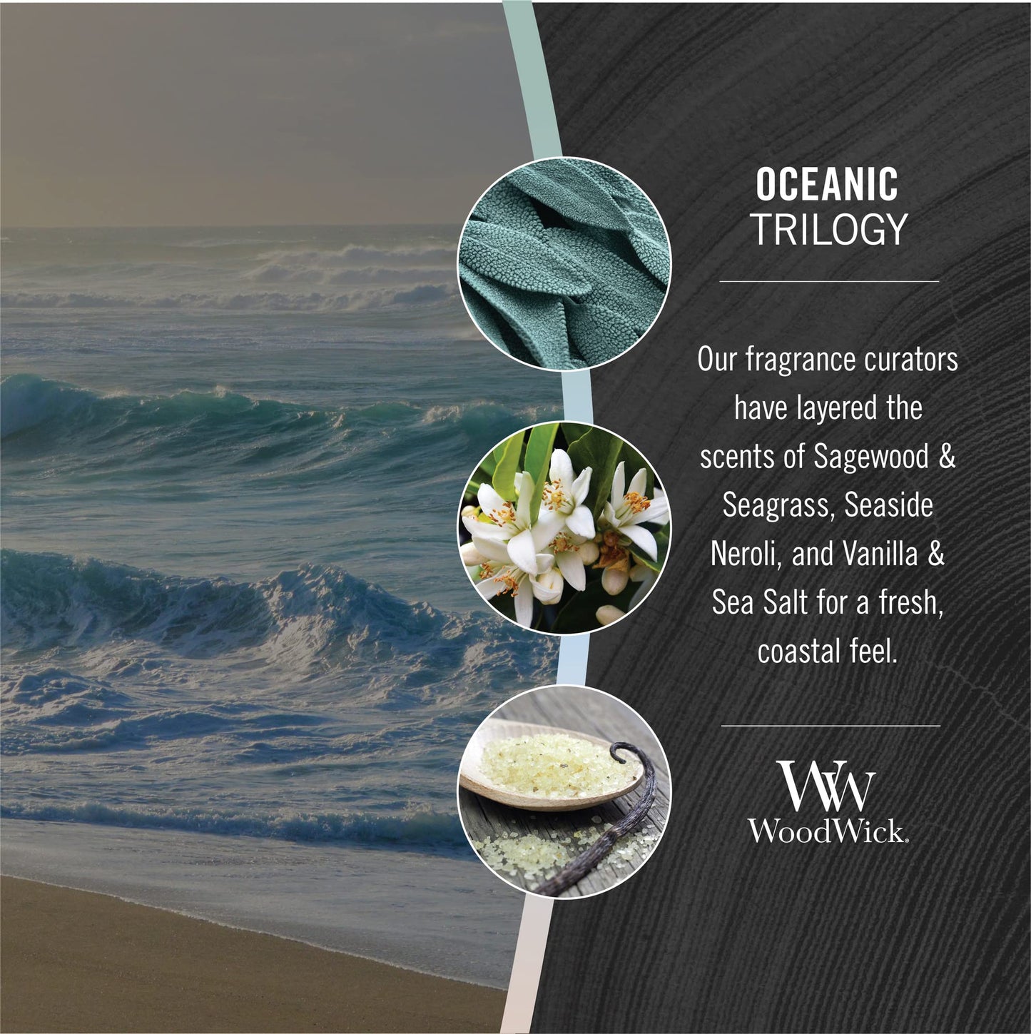 WoodWick Oceanic Trilogy Gifts for Women and Men, 9.7 oz Medium Hourglass Trilogy Candle with Crackling Wick