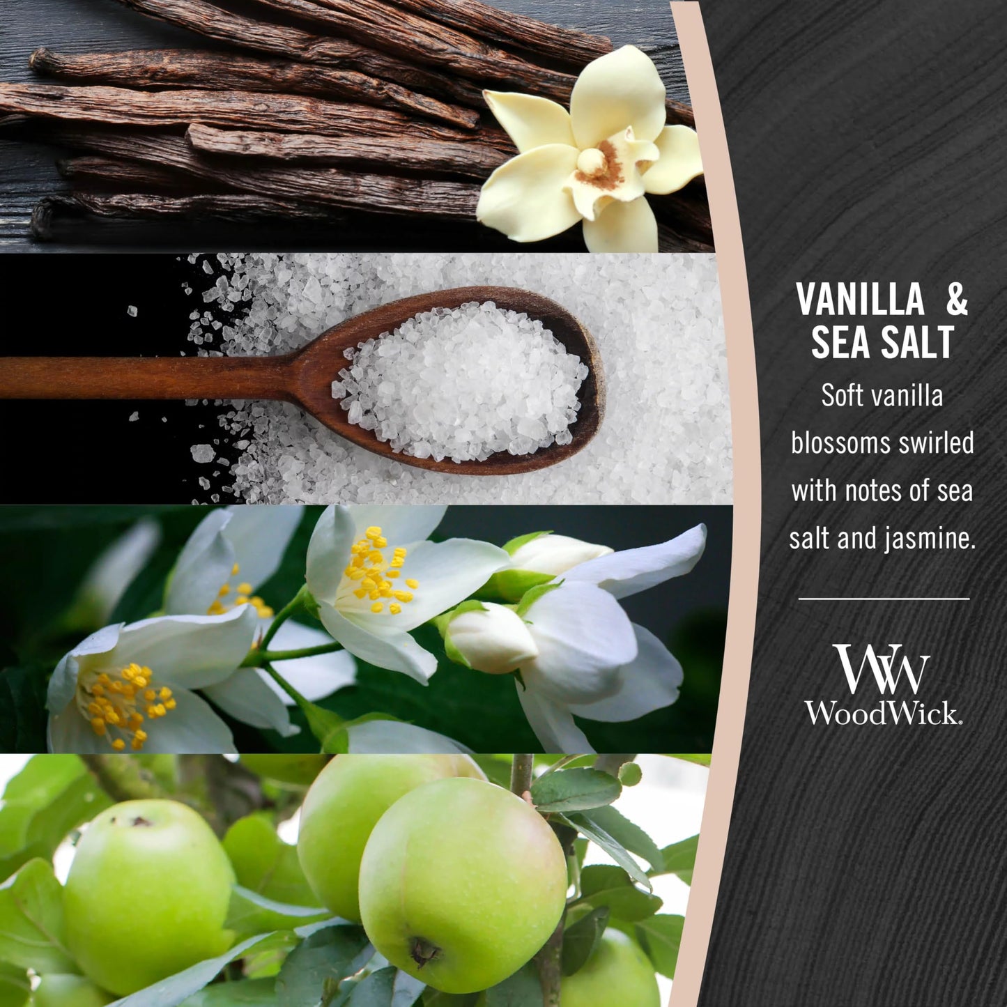 WoodWick Vanilla & Sea Salt Gifts for Women and Men, 9.7 oz Medium Hourglass Candle with Crackling Wick