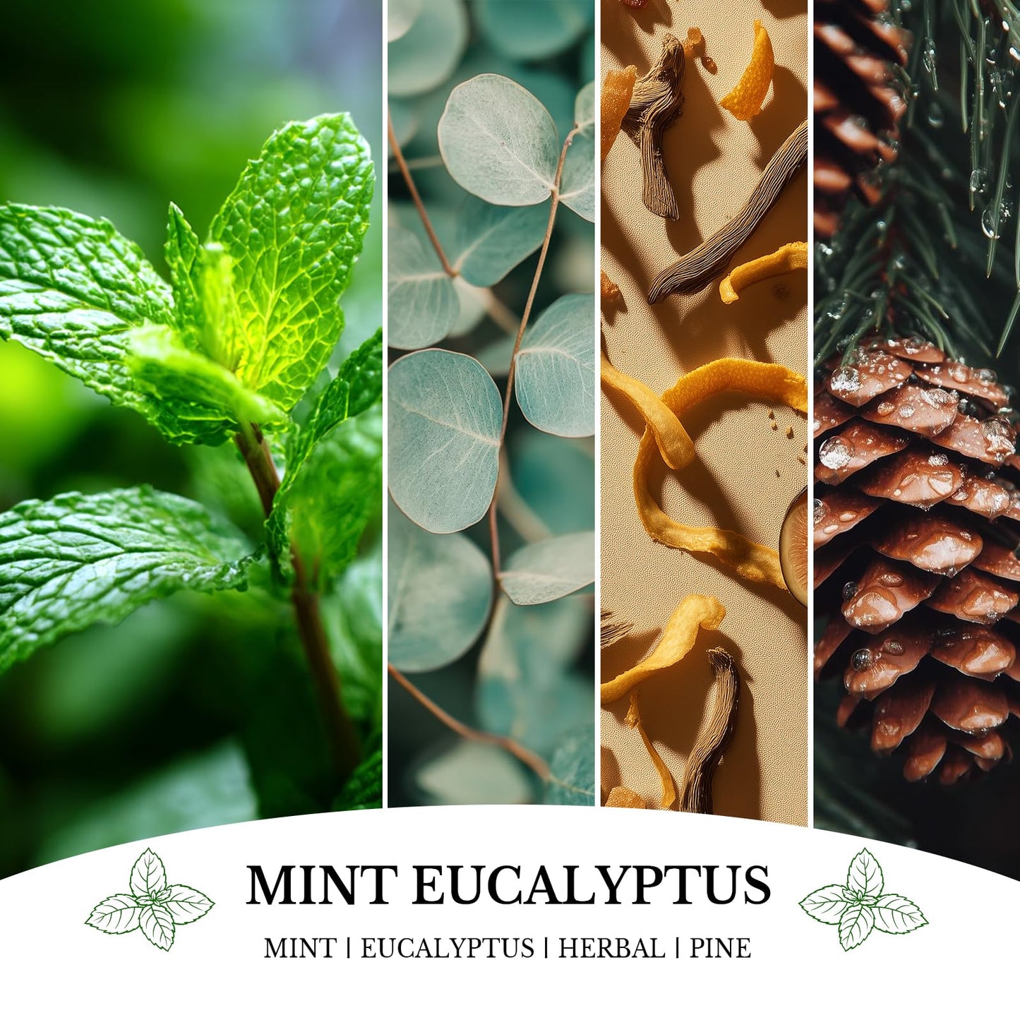 Mint Eucalyptus Candles, Mint Eucalyptus Scented Candle, Mother's Day Candle Gifts for Women, Soy Candles for Home Scented, 7oz 50 Hours Burn