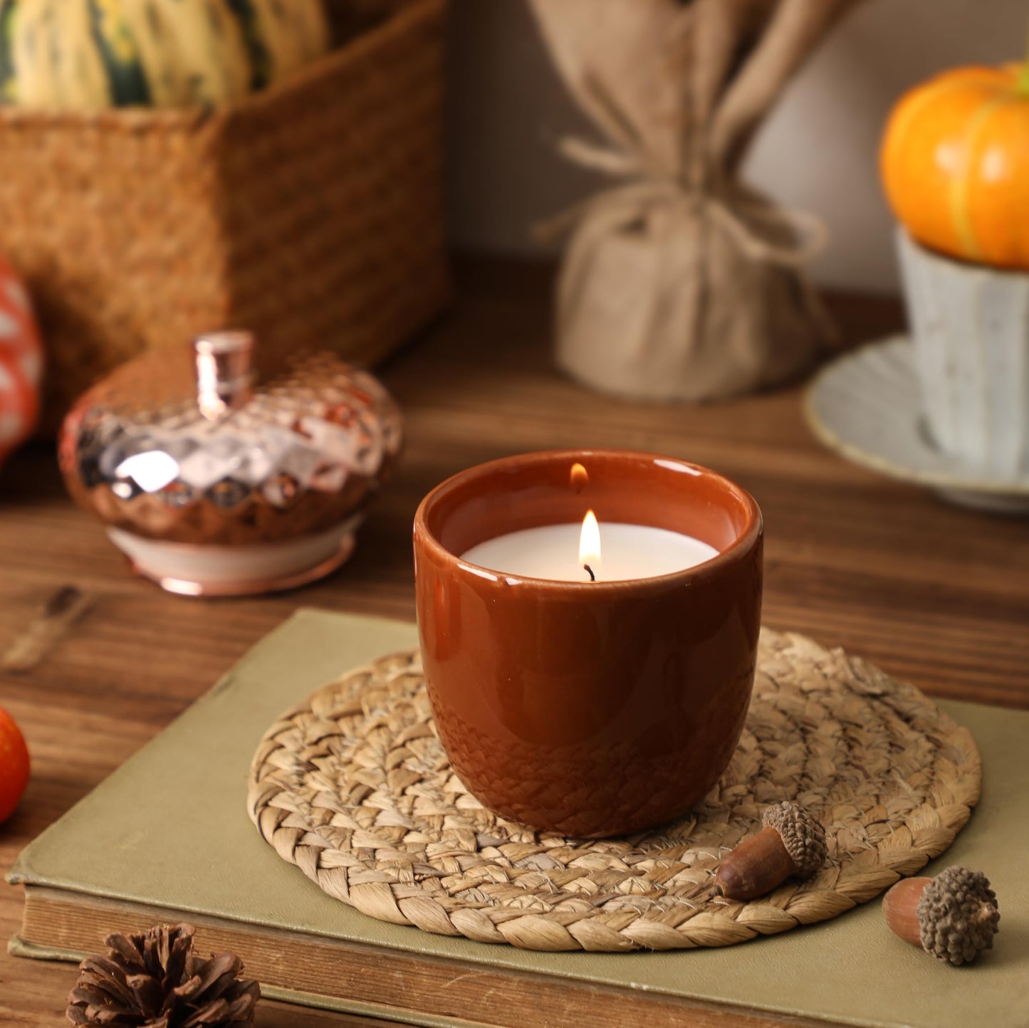 Thanksgiving Scented Candle, Pumpkin Spice Scented Candle, 6OZ Acorn Shaped Candles, Ceramic Jar Candles, Autumn & Thanksgiving Gift, Cozy Home Gift