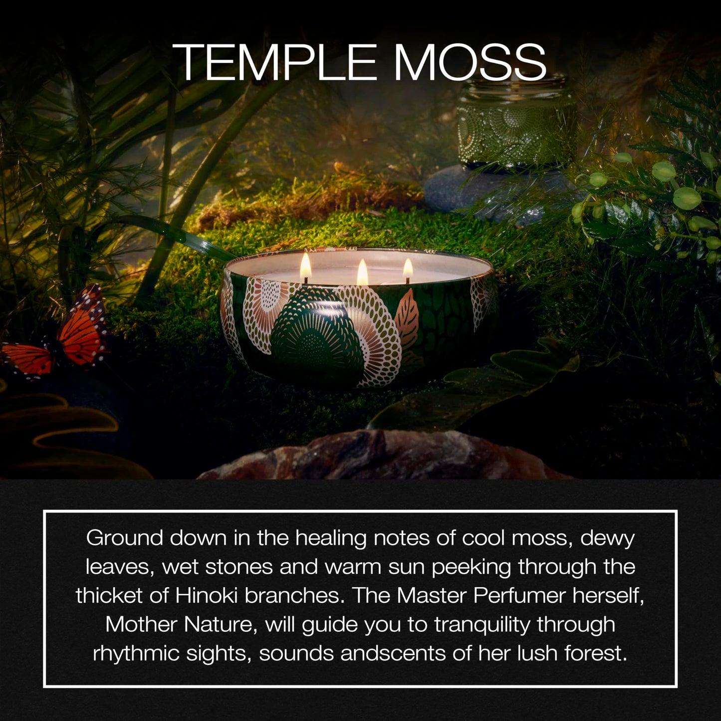 Voluspa Temple Moss, 3 Wick Tin Candle, 12oz, 40 Hour Burn Time, Coconut Wax Candle for The Home, Handcrafted in the USA