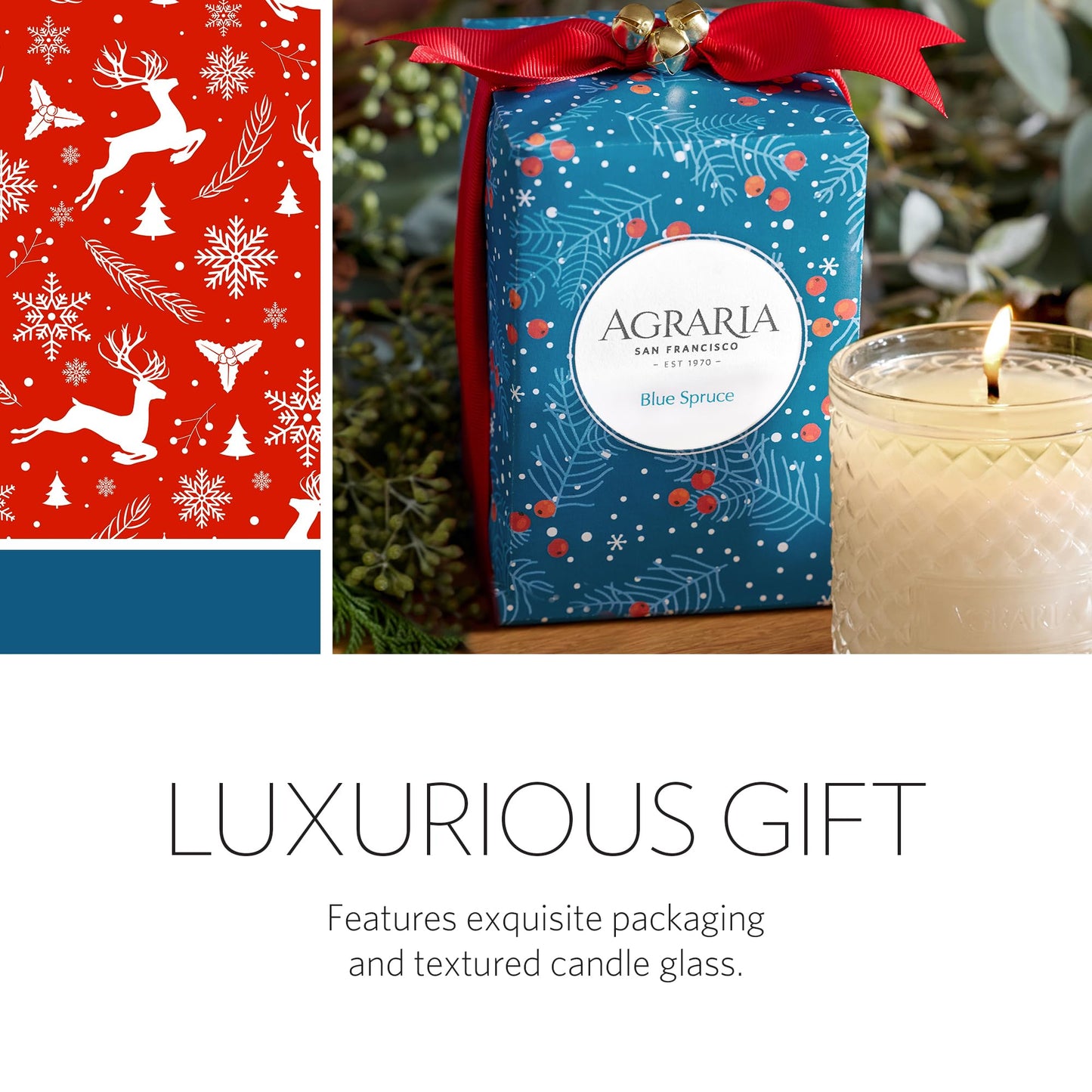 AGRARIA Scented Candles, 7 Oz, Long-Lasting Scented Candles for Home, Elegant Home Fragrance Gifts for Men and Women