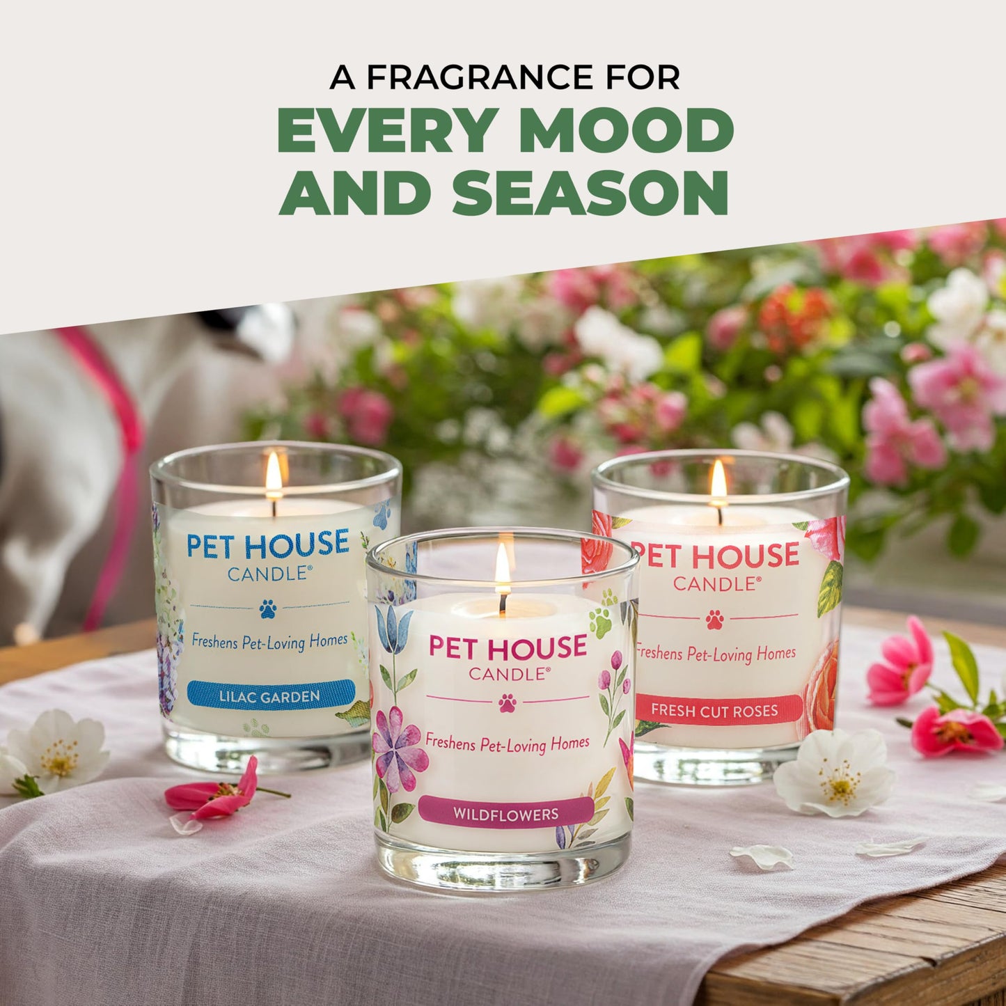 Pet House Candles, 9 oz Fresh Cut Grass Scented Candle, Clean Burning, Long Lasting Plant-Based Pet Friendly Candle, 60 Hour Burn Time