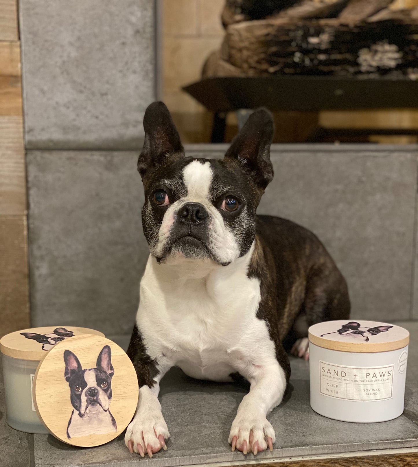 Sand + Paws Scented Candle - Newport - Additional Scents and Sizes –Luxurious Air Freshening Jar Candles Neutralize pet Odors and Enhance Home décor – 100% Cotton Lead-Free Wicks - 12 oz