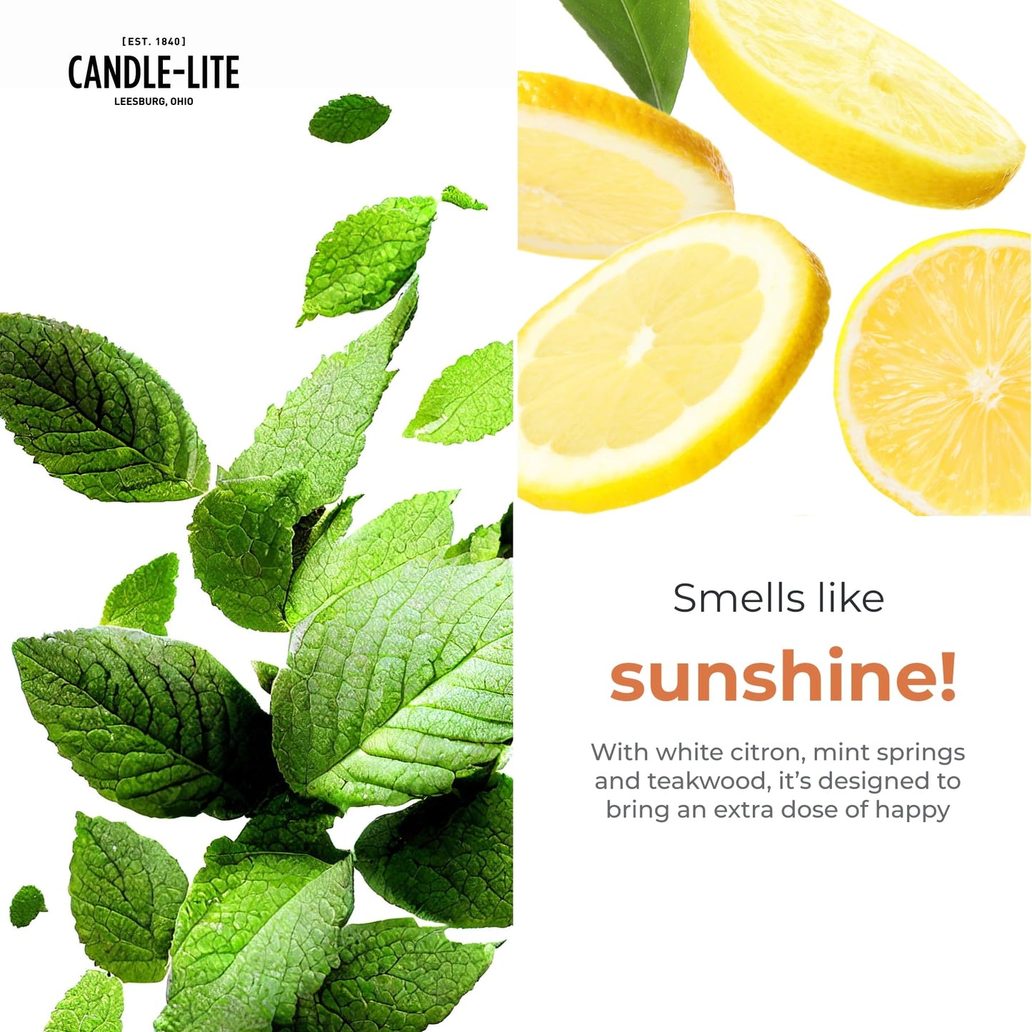 Candle-Lite Pure White Citron & Violet Odor Eliminating Scented Candles, Neofresh Technology Eliminates 99.9% of Odors, 16 oz 2-Wick Jar, Proudly Poured in The USA, Up to 60 Hours Burn Time