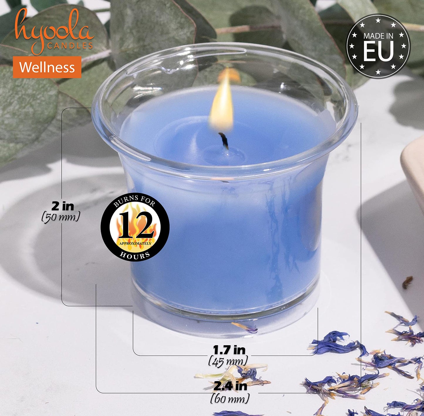 HYOOLA Clear Cup Scented Votive Candles - Wellness - 12 Hour Burn Time - 4 Pack - European Made