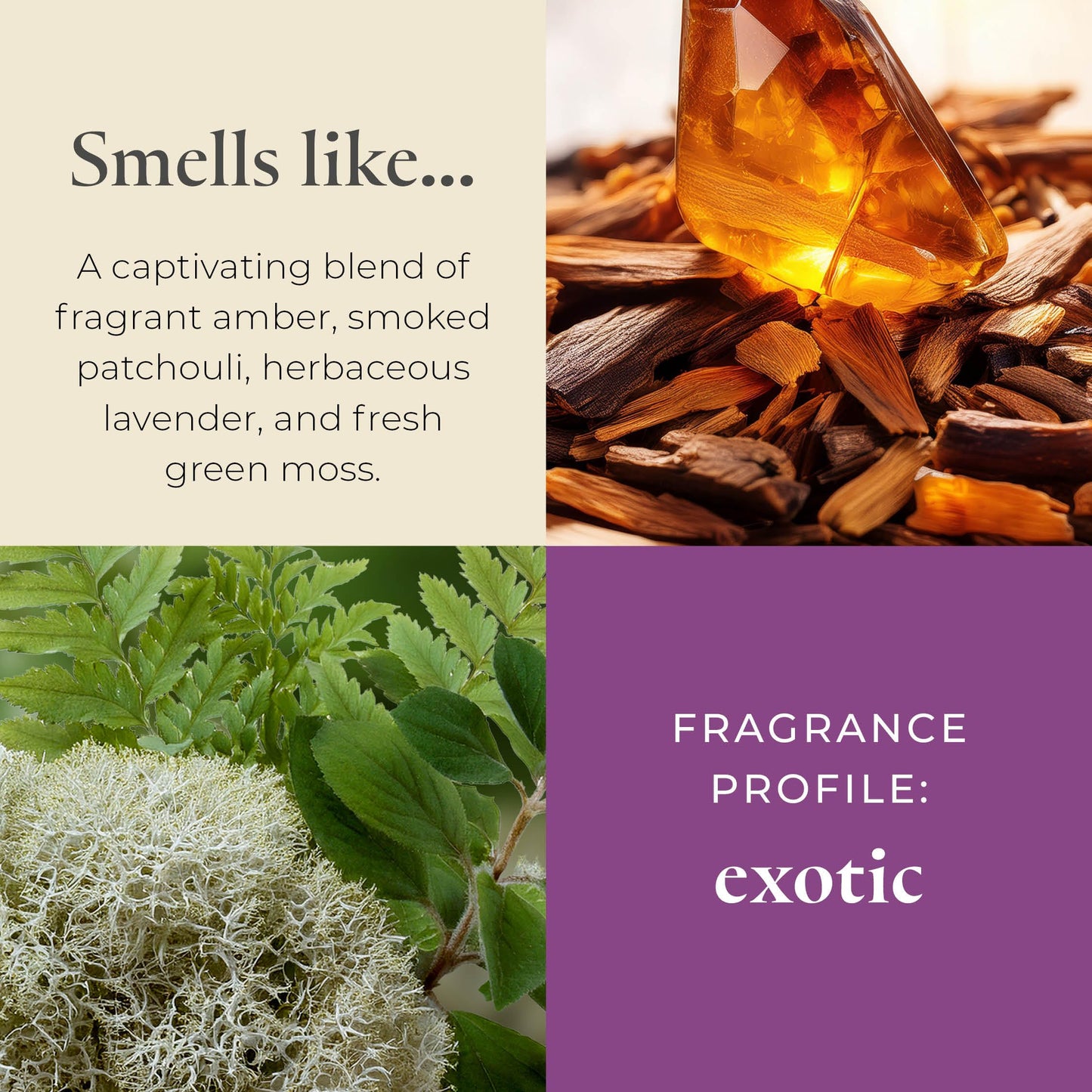 PartyLite Tamboti Woods Scented, Notes of Fragrant Amber, Smoked Patchouli, Lavender & Green Moss, 10oz 1-Wick Aromatherapy Refillable Jar Candle, 50 Hour Burn Time, Sustainable Wax in Reusable Vessel