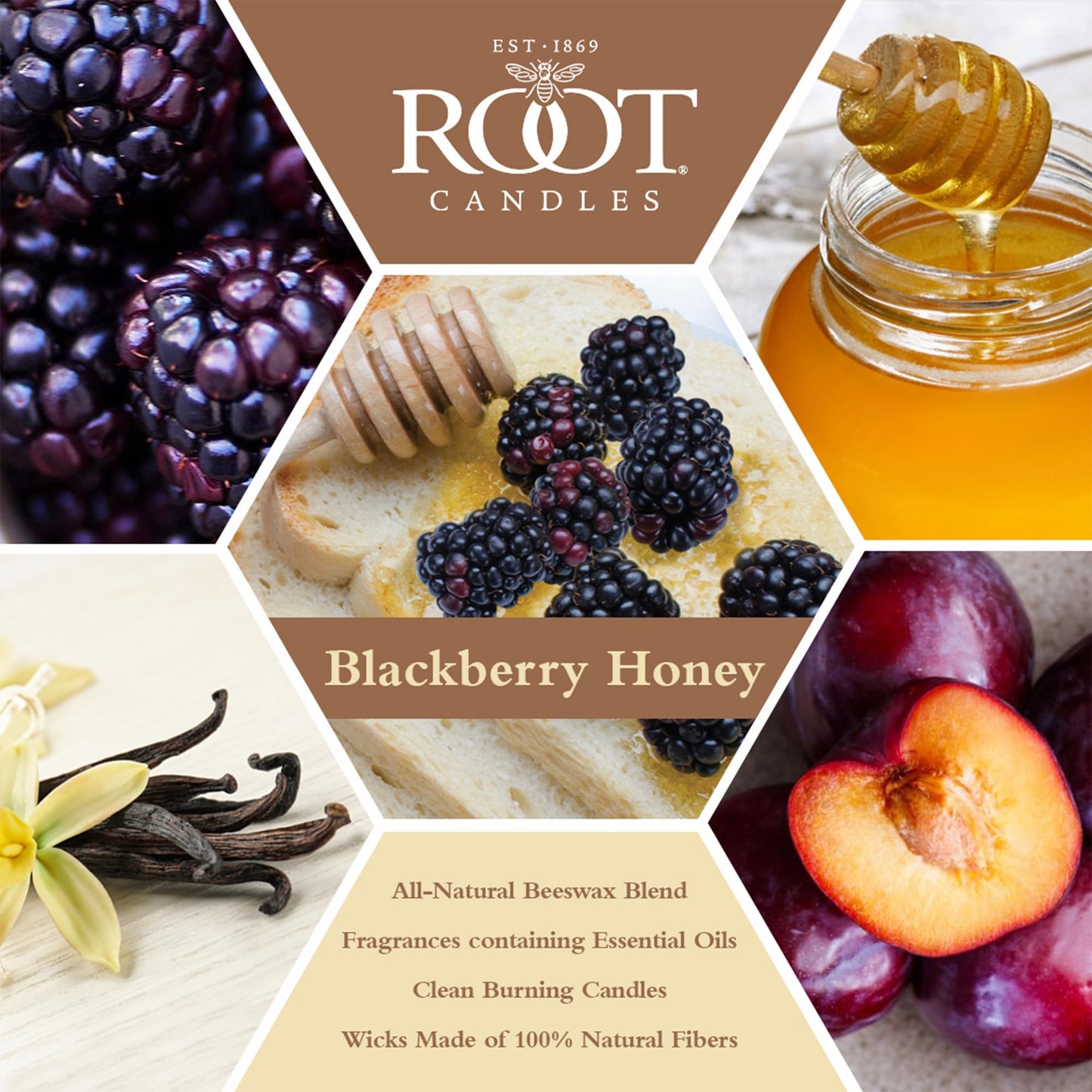 Root Candles Scented Candles Honeycomb Beeswax Blend Premium Handcrafted Candle, Large Veriglass, BlackBerry Honey