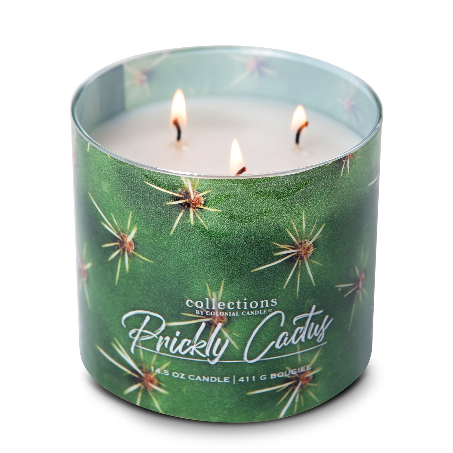 Colonial Candle Prickly Cactus Scented Jar Candle, Desert Collection, Purple, 3 Wick, 14.5 oz