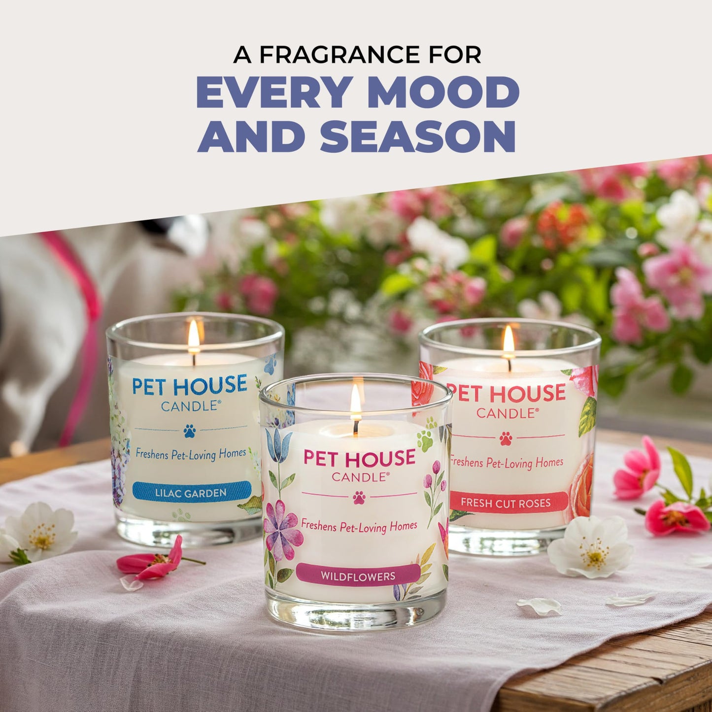 Pet House Candles Plant Based Cookie Scented Candle Clean Burning, Long Lasting for Home, Snowfall