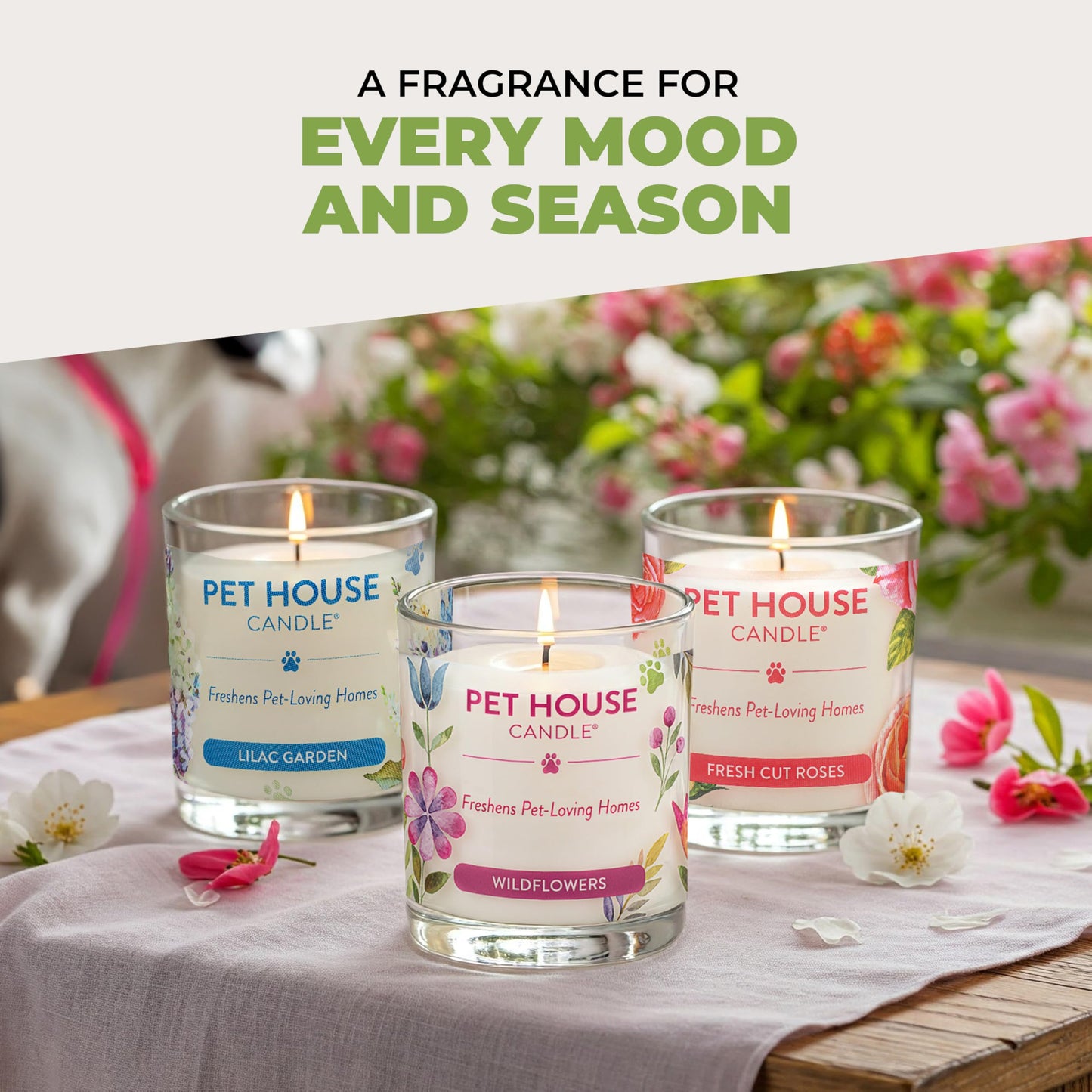 Pet House Candles, Long Burning Scented Candles for Pet Odors, Plant-Based, 60 Hour Burn Time - Lemongrass, 9 oz