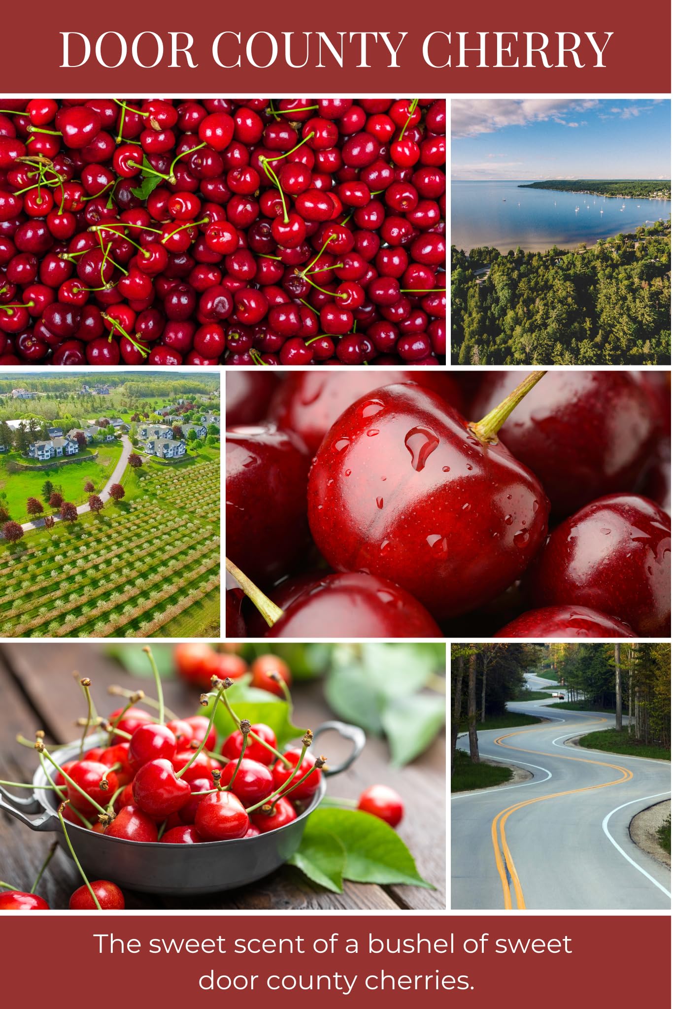Eco Candle Co. Tea Light Candles, Door County Cherry, 10-Pack - Scents of Handpicked Cherries - Recyclable, 100% Soy Wax, No Lead, Hand Poured, Made from Midwest Grown Soybeans, .6 oz. Each