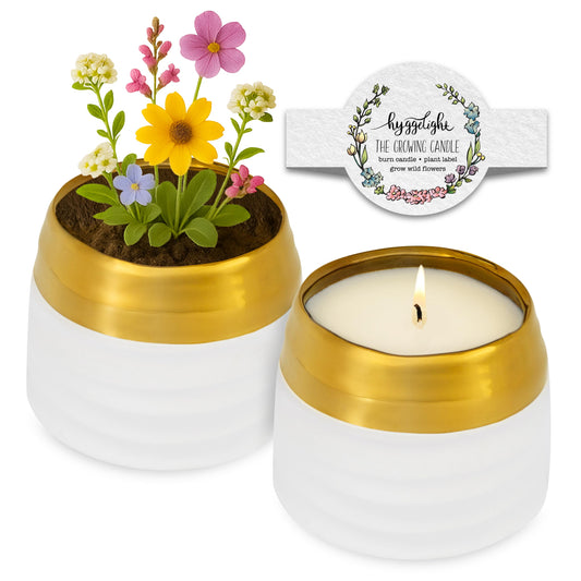 Hyggelight - The Growing Candle, Mint & Eucalyptus Scented, 10oz Ceramic Pot, Aromatherapy Candles, 100% Soy, Clara