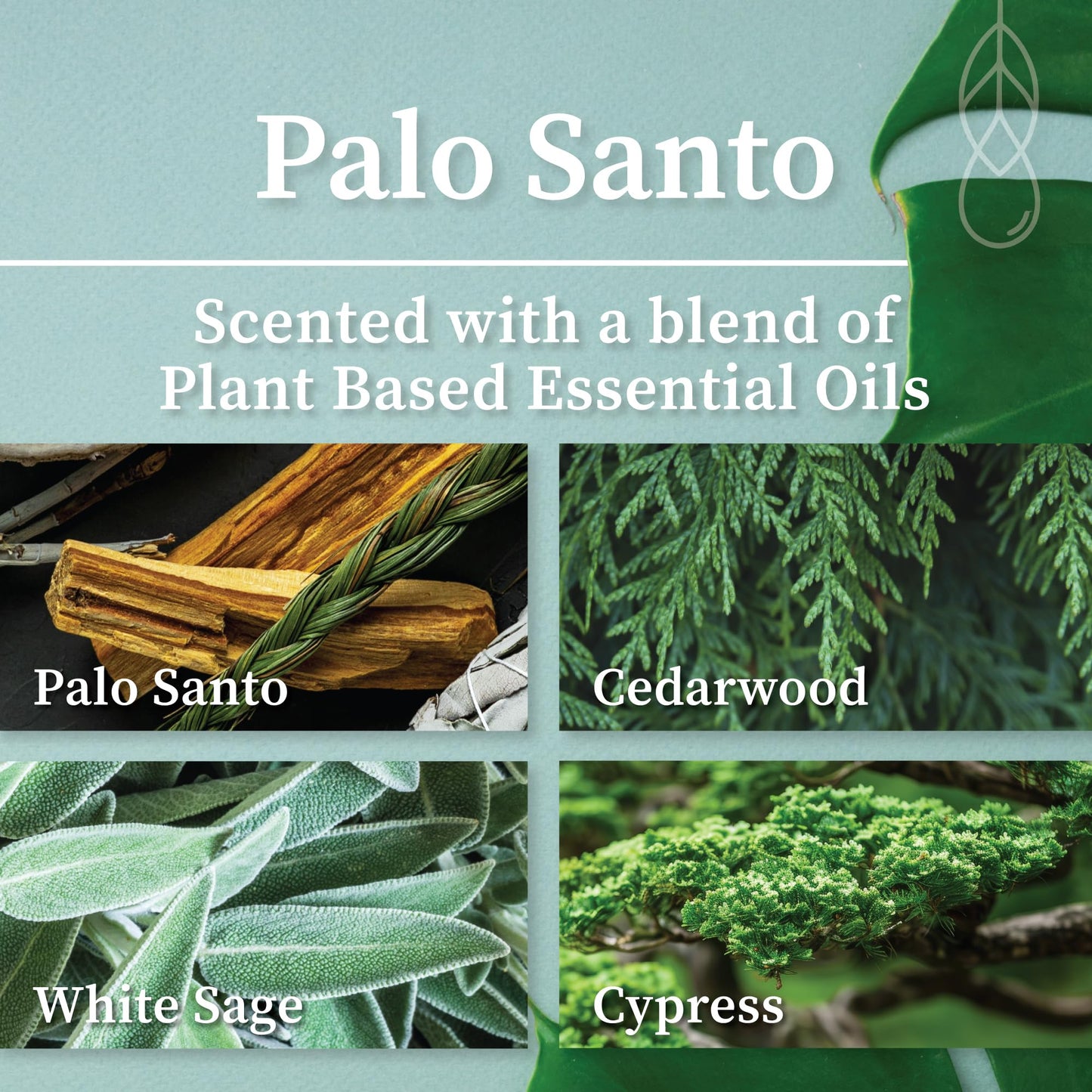 Hemlock Park Palo Santo Green Glass Hand-Poured Scented Candle | Crackling Wood Wick, Botanical Fragrance & Coconut Wax | Up to 60 Hour Burn Time | 8 oz