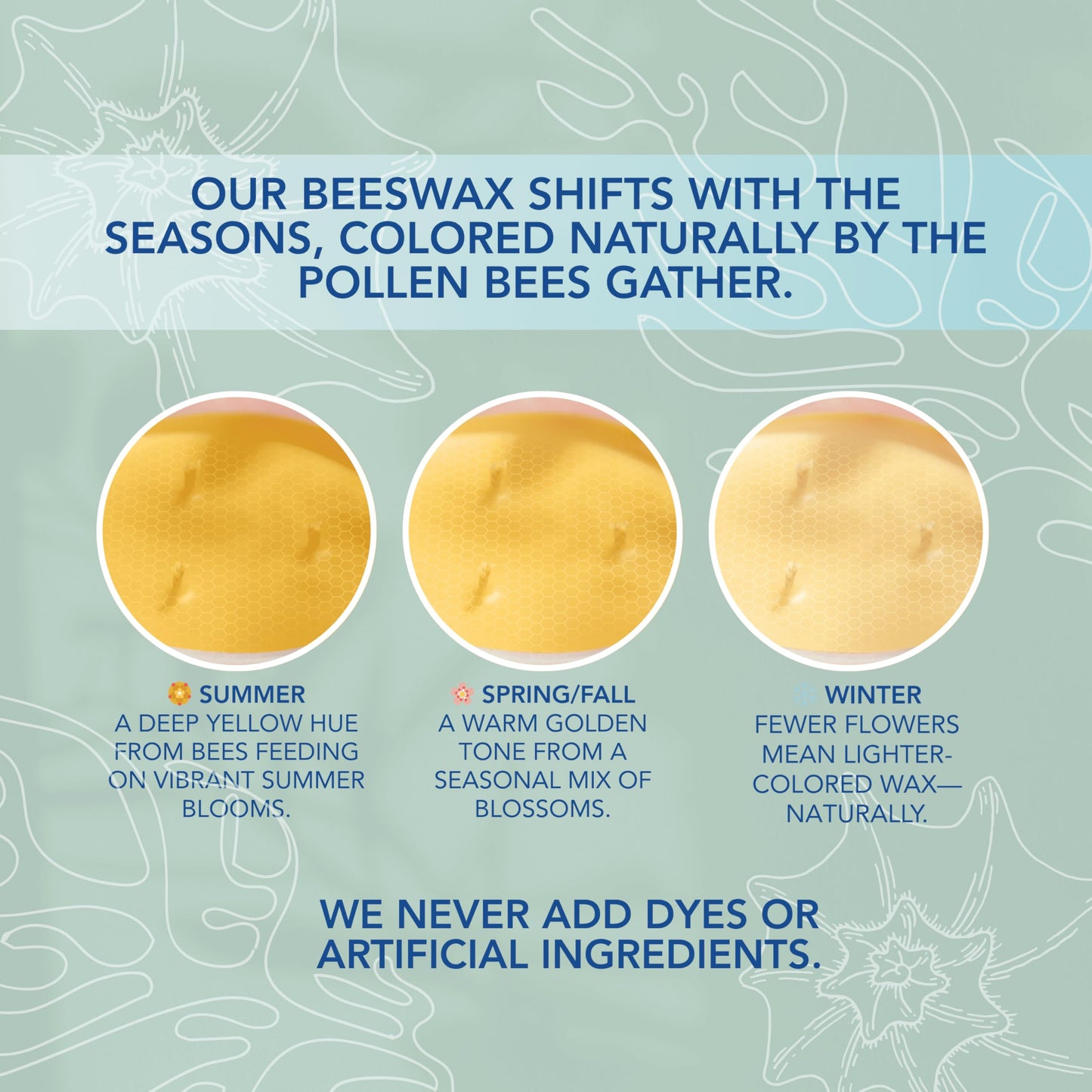 Coastal Breeze - Yuzu & Sea Salt Pure Beeswax Candle – 90+ Hours Long Burning Classically Designed Non-Toxic Scented Candles for Home Decor with Natural Fragrance 15 oz