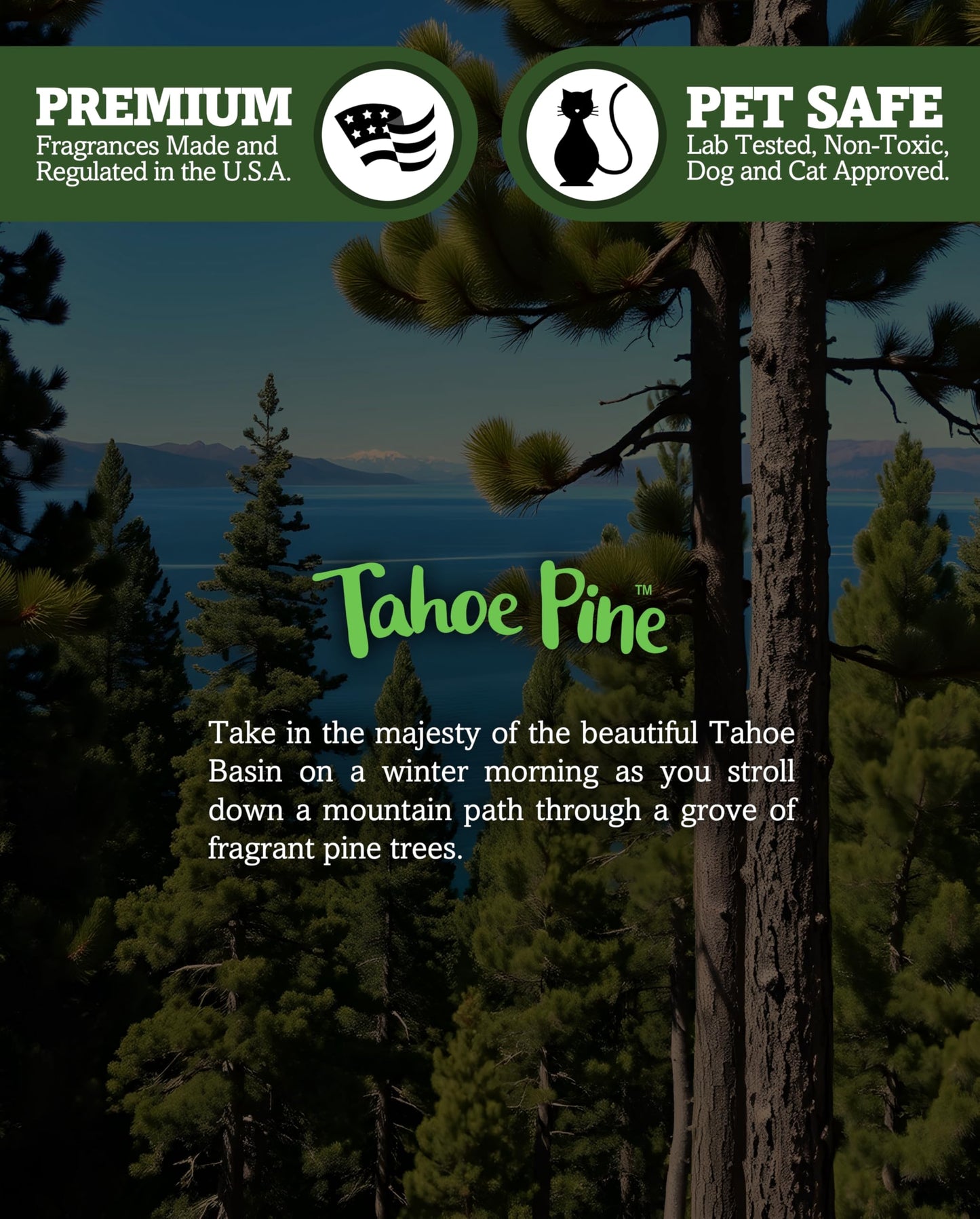 Tahoe Pine Premium Tealight Candles Multi Pack - Highly Scented with Essential & Natural Oils - 12 Green Tea Lights - Beautiful Candlelight - Made in the USA - Fresh & Clean Collection