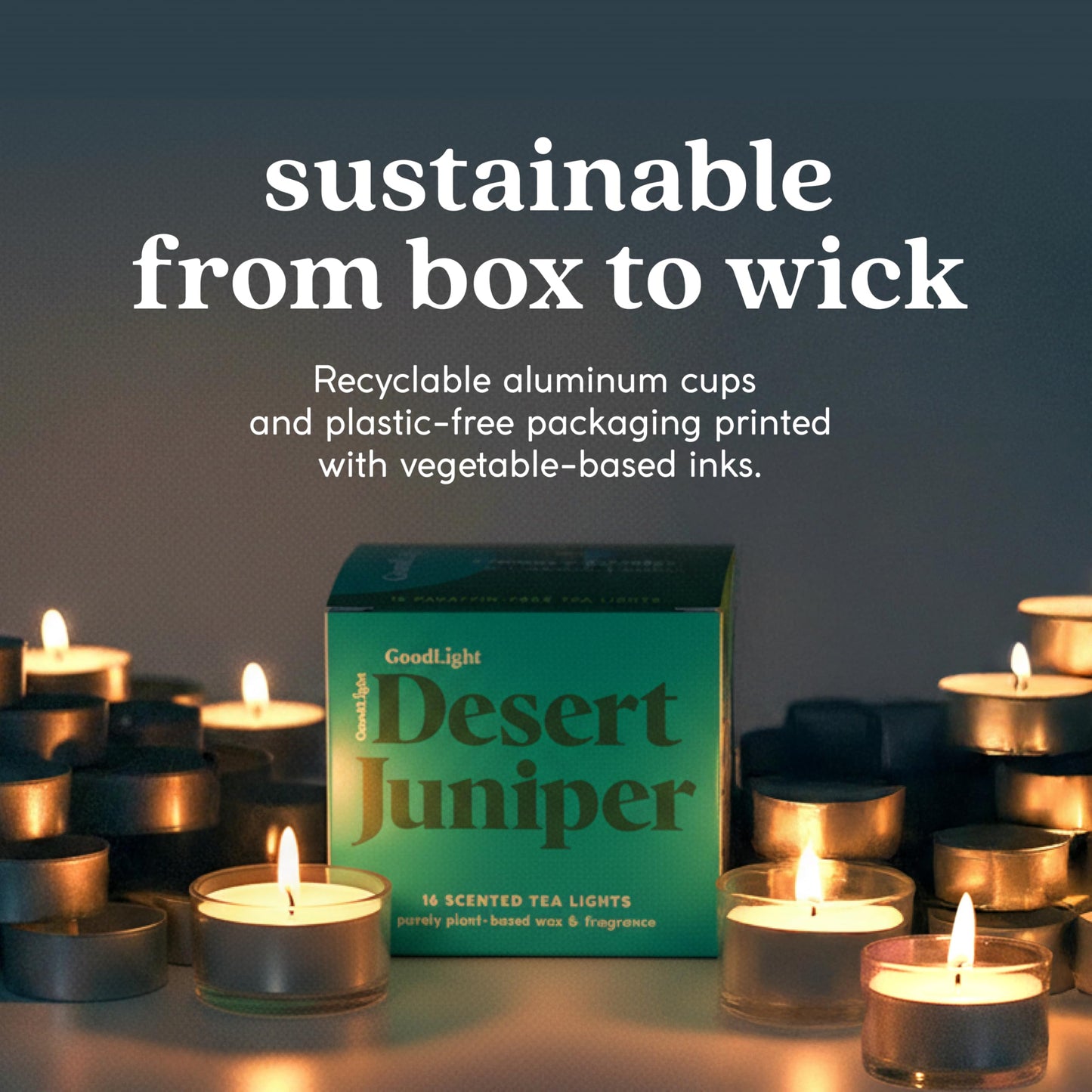 GoodLight Scented Vegan and Paraffin-Free Tea Light Candles (16 Count, Desert Juniper)