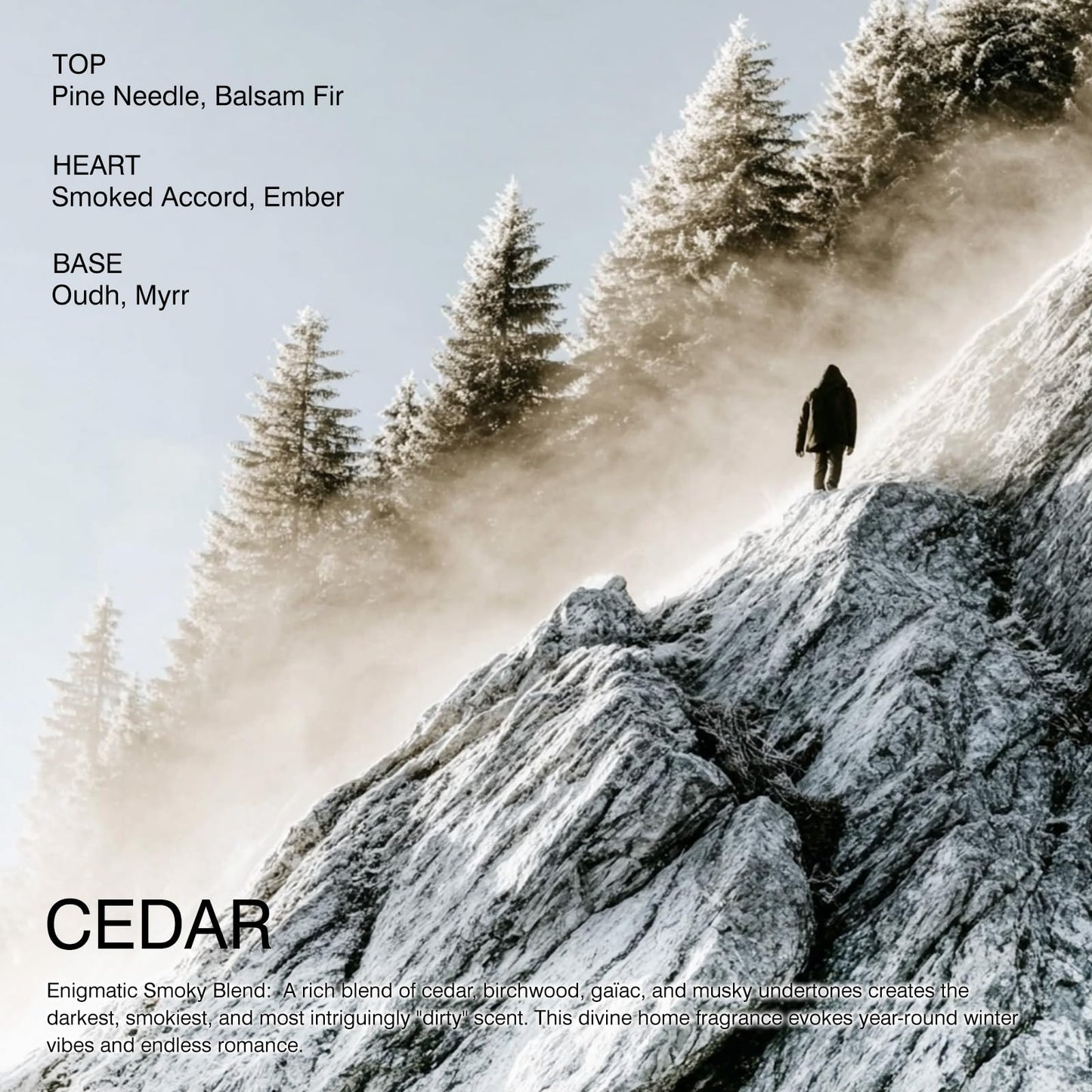 Cedar Candle 10.6 oz - Inspired by CEDRE 11 - Clean Burn & Non Toxic - 65 Hour Burn Time